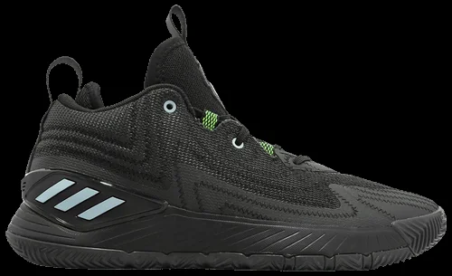 Баскетбольні кросівки Adidas D Rose Son Of Chi 2.0
