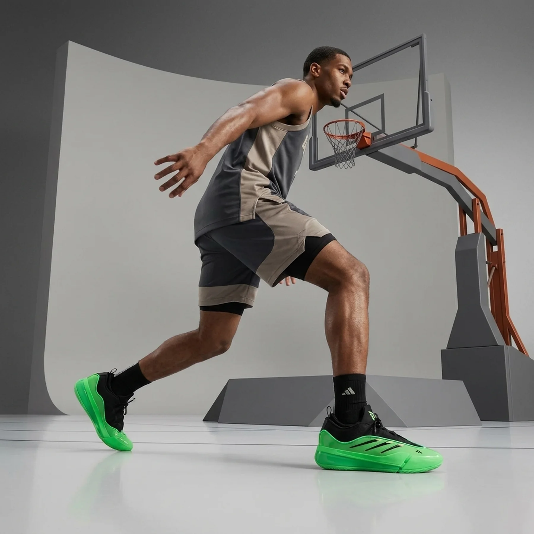 Баскетбольні кросівки Adidas Dame 9