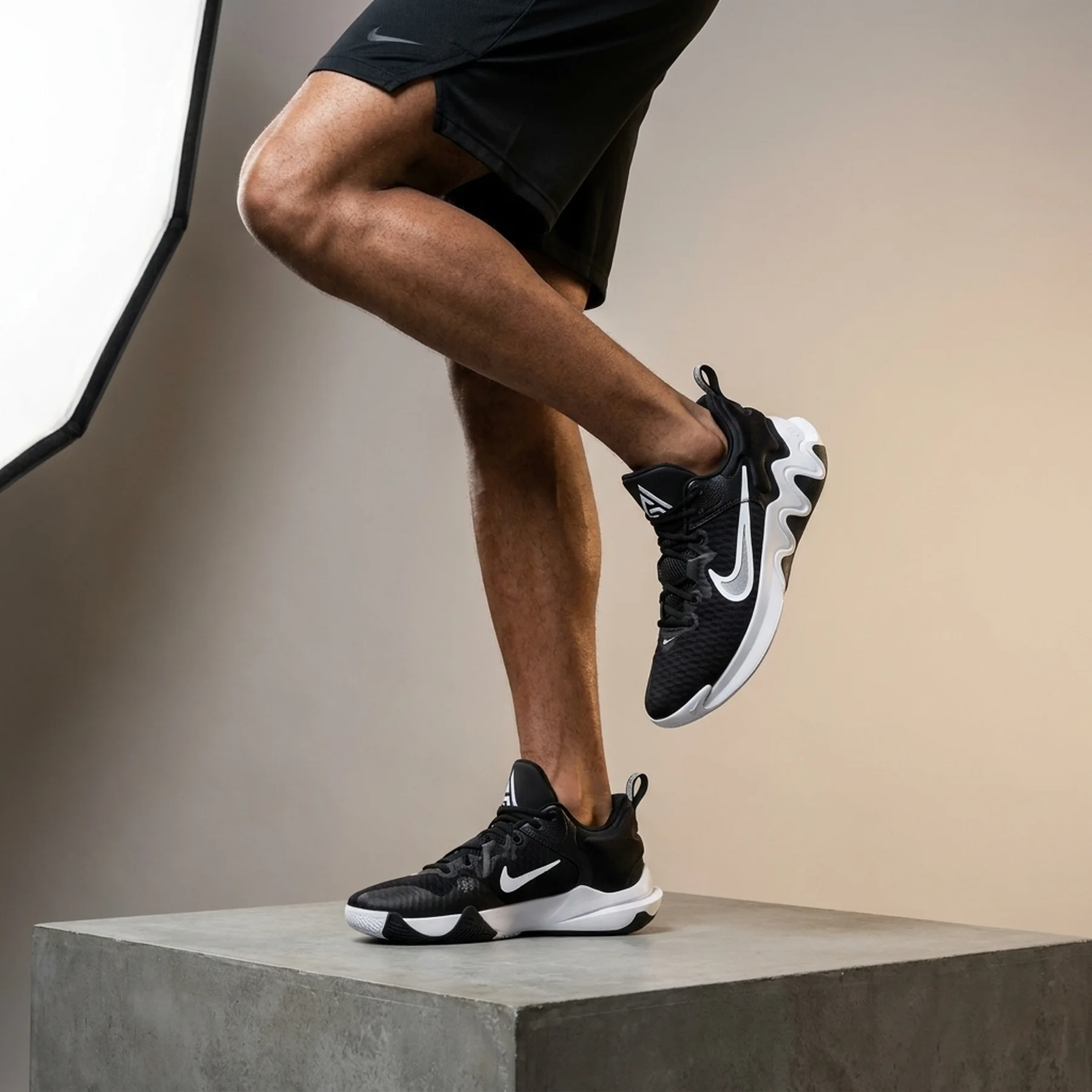 Баскетбольні кросівки чоловічі Nike Giannis Immortality (DZ7533-003)