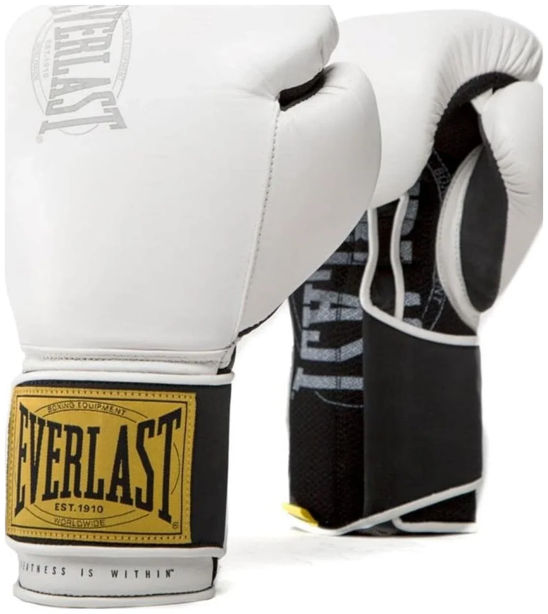 Боксерські рукавиці Everlast 1910 Classic Training Glove (P00001705)