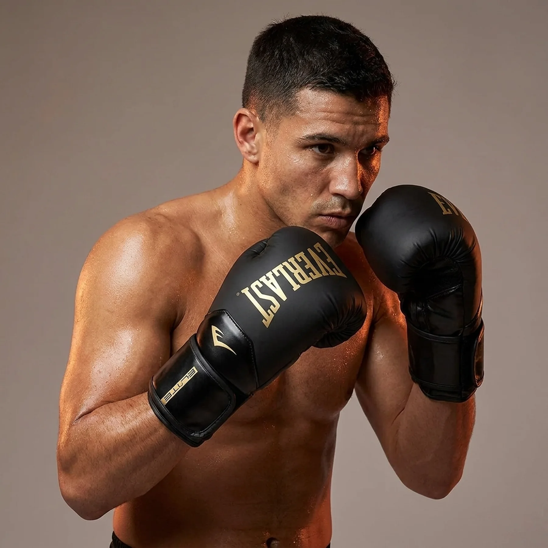 Боксерські рукавиці Everlast Elite 2 Boxing Gloves (P00003270)