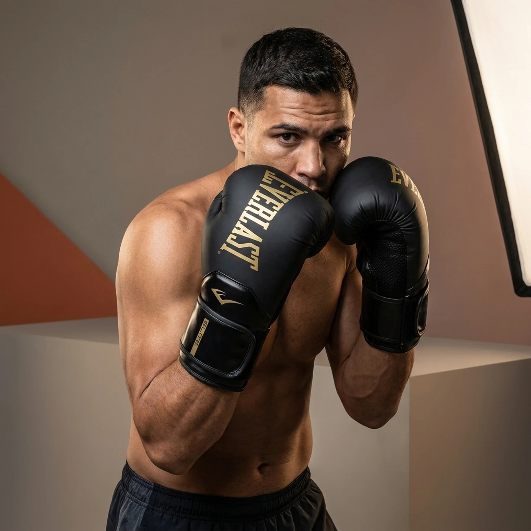 Боксерські рукавиці Everlast Elite 2 Boxing Gloves (P00003273)