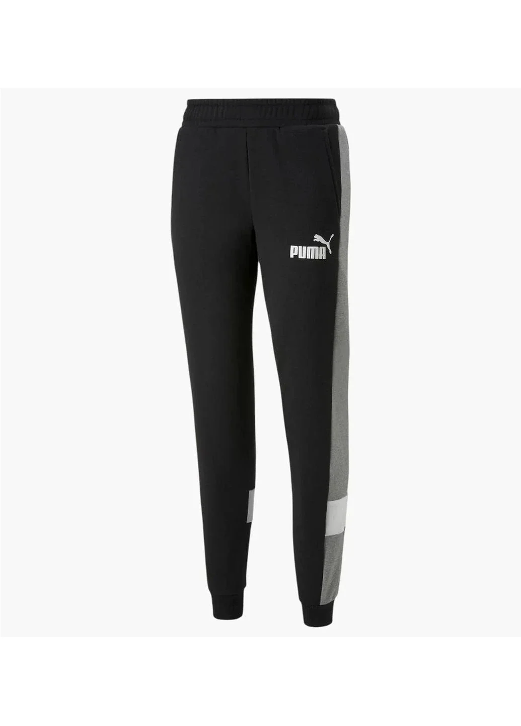 Брюки чоловічі Puma Essentials+ Colorblock Black (670169-01)