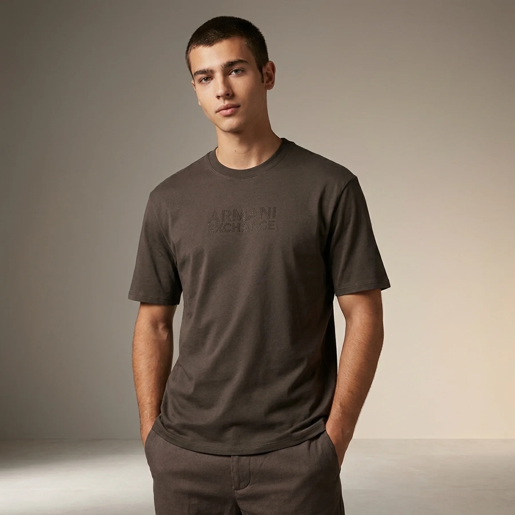 Чоловічі футболки з логотипом Armani Exchange 1159845873 (Коричневий XXL)