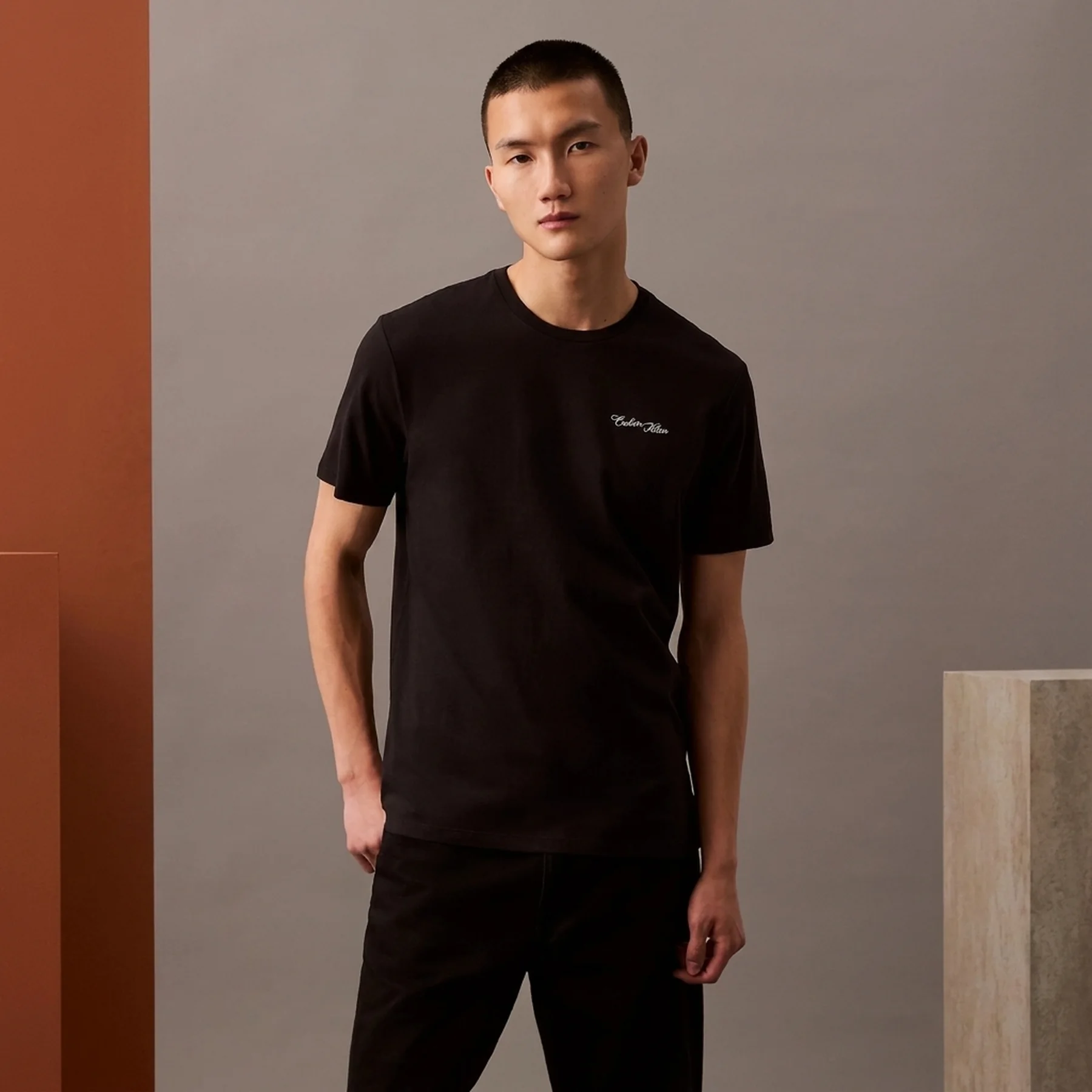 Чоловічі футболки з логотипом Calvin Klein 1159850248