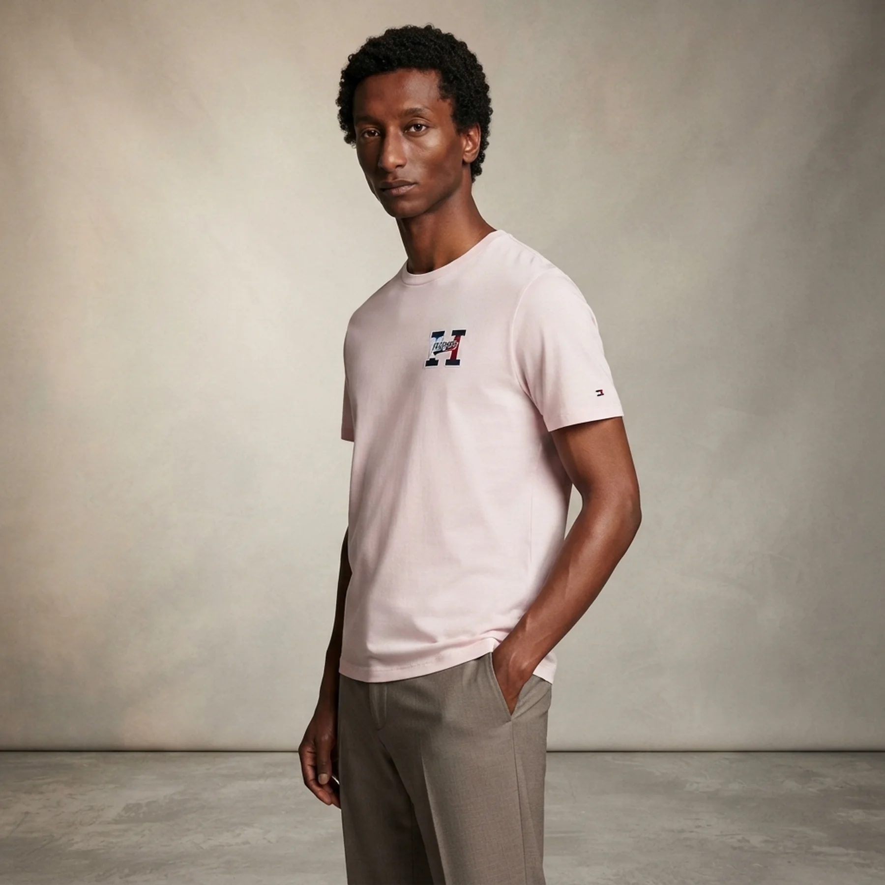 Чоловічі футболки з логотипом Tommy Hilfiger 1159846425