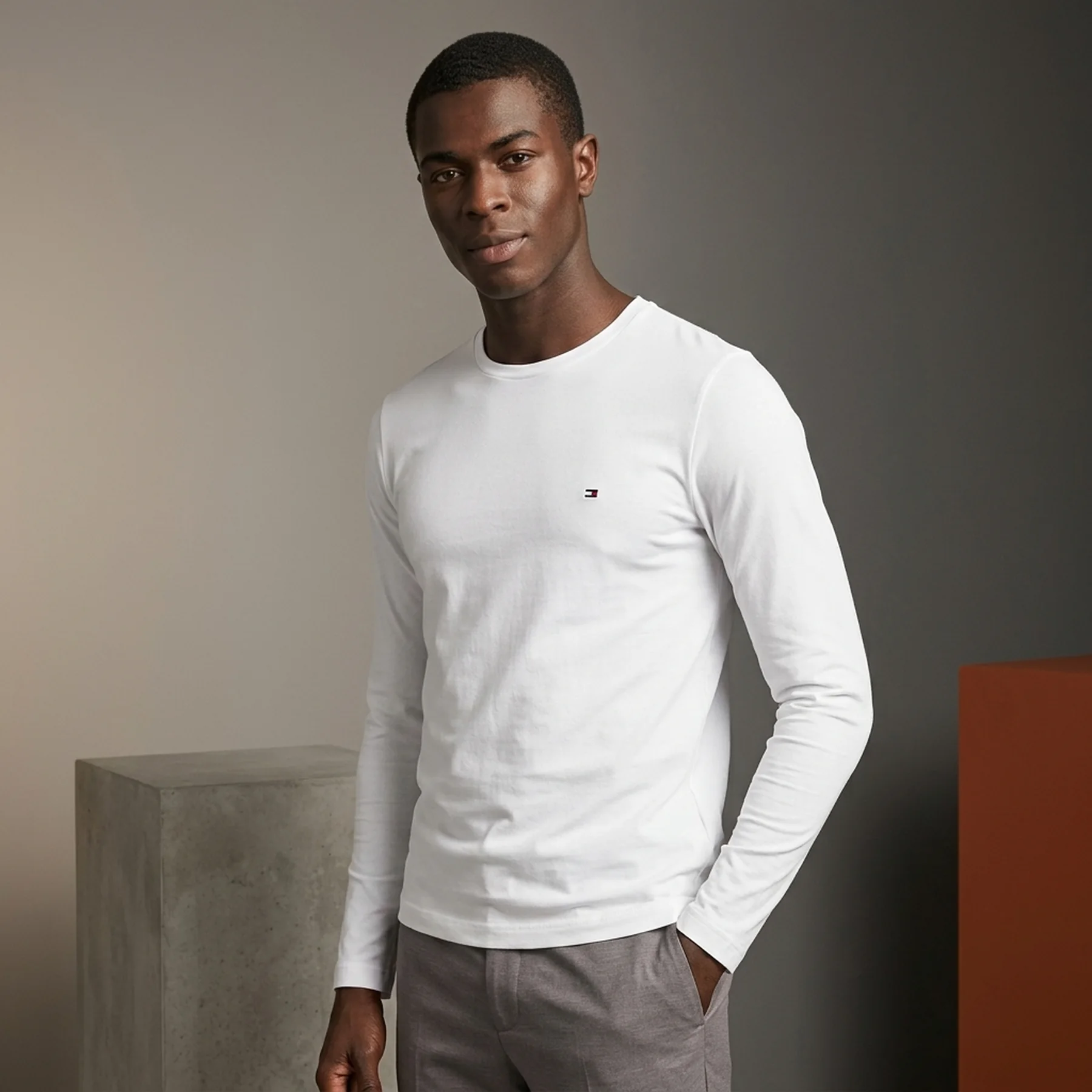 Чоловічий лонгслів Tommy Hilfiger 1159850840