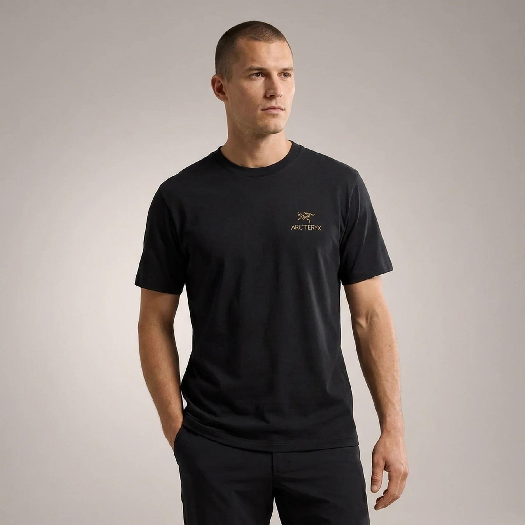 Чорна футболка Arc'teryx Kragg SL Cotton Bird Word