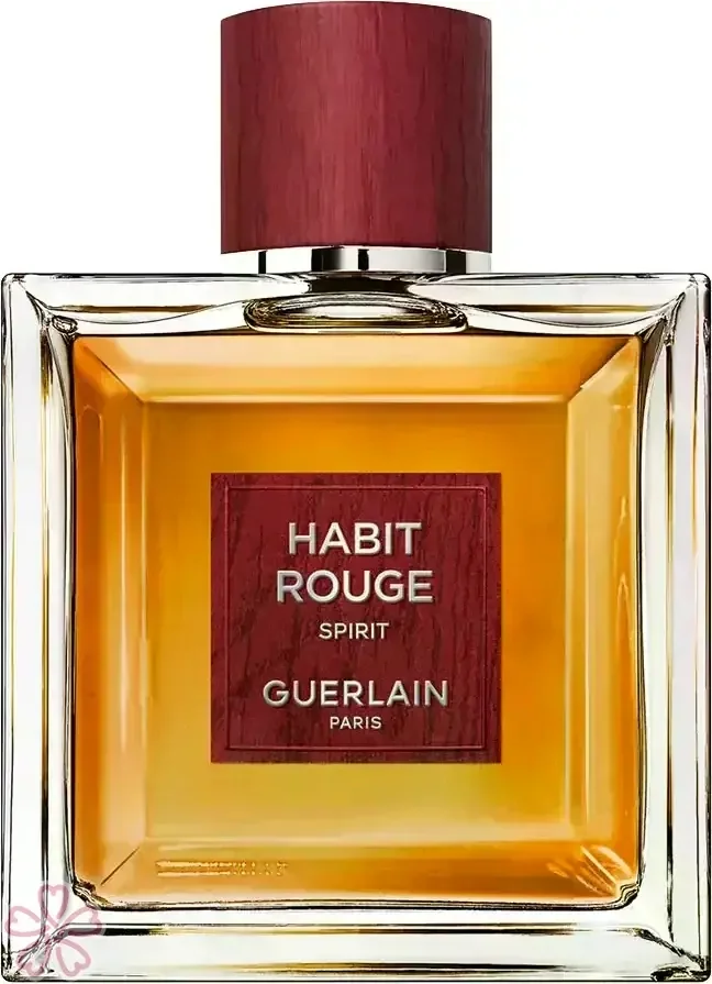 Духи для мужчин Guerlain Habit Rouge Spirit 100 мл