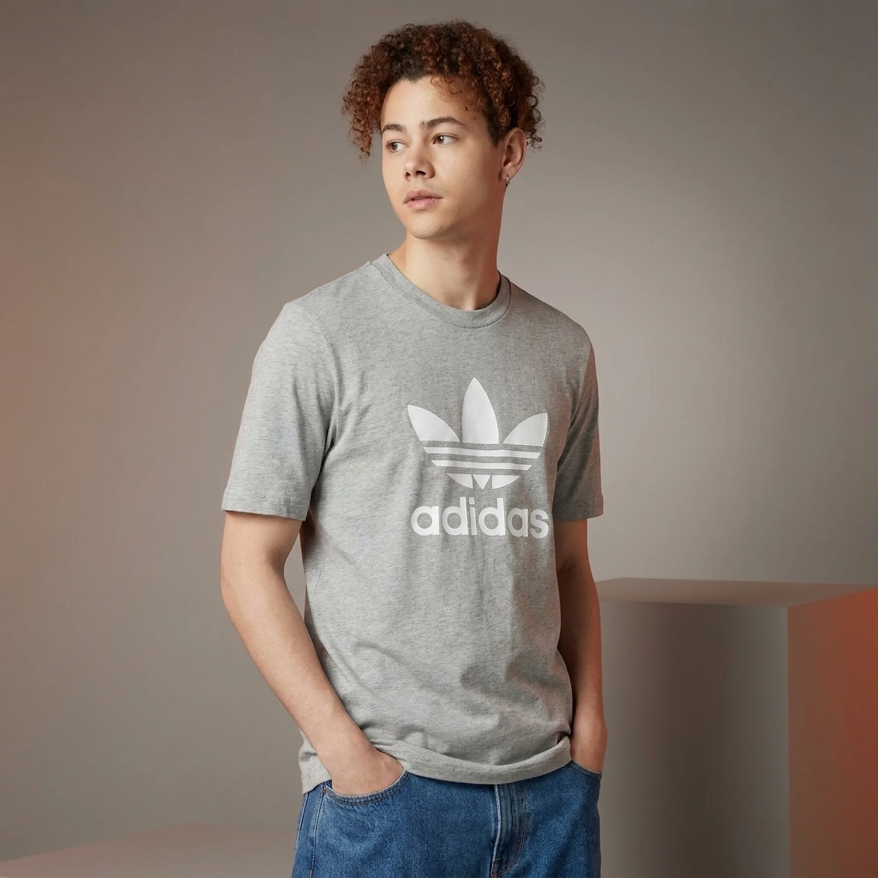 Футболка чоловіча Adidas Adicolor Classics Trefoil Tee Grey (IM4504)