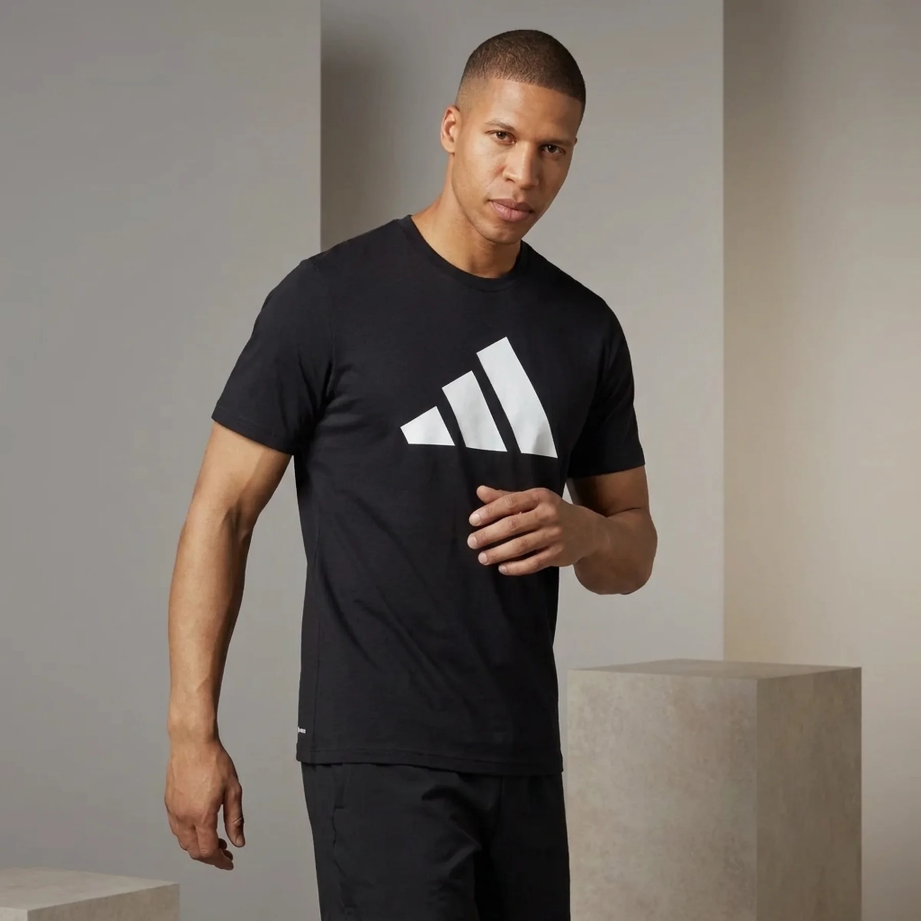 Футболка чоловіча Adidas Train Essentials Feelready Logo Performance (IB8273)