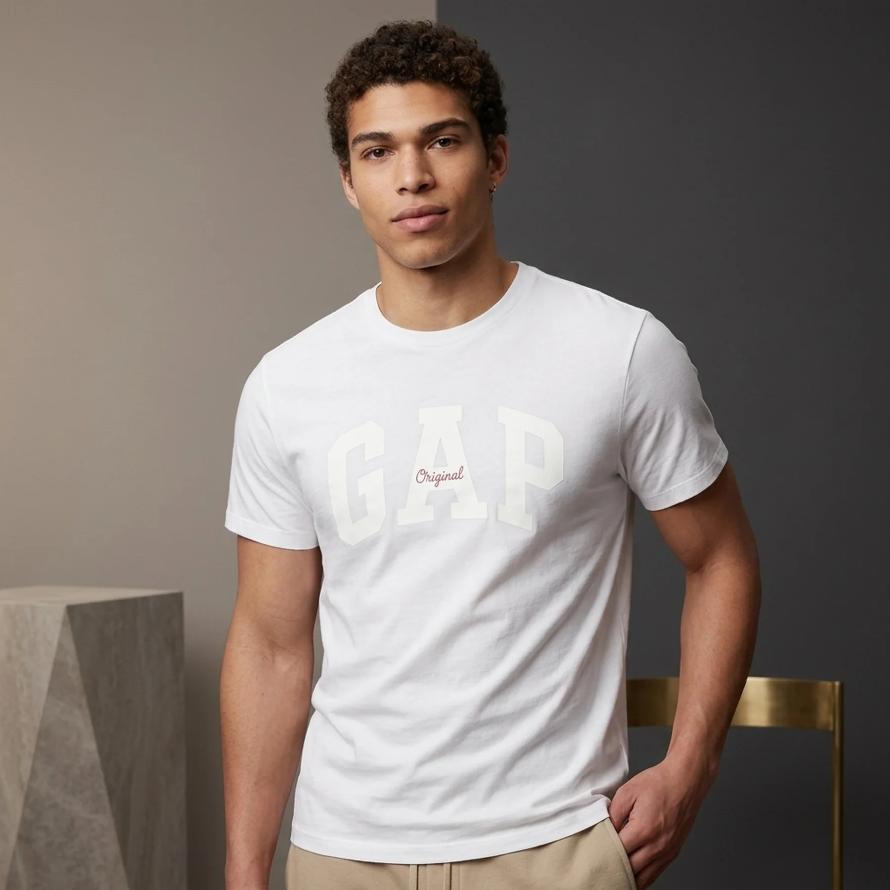 Футболка чоловіча Gap V-Logo Orig Arch White (471777-08)