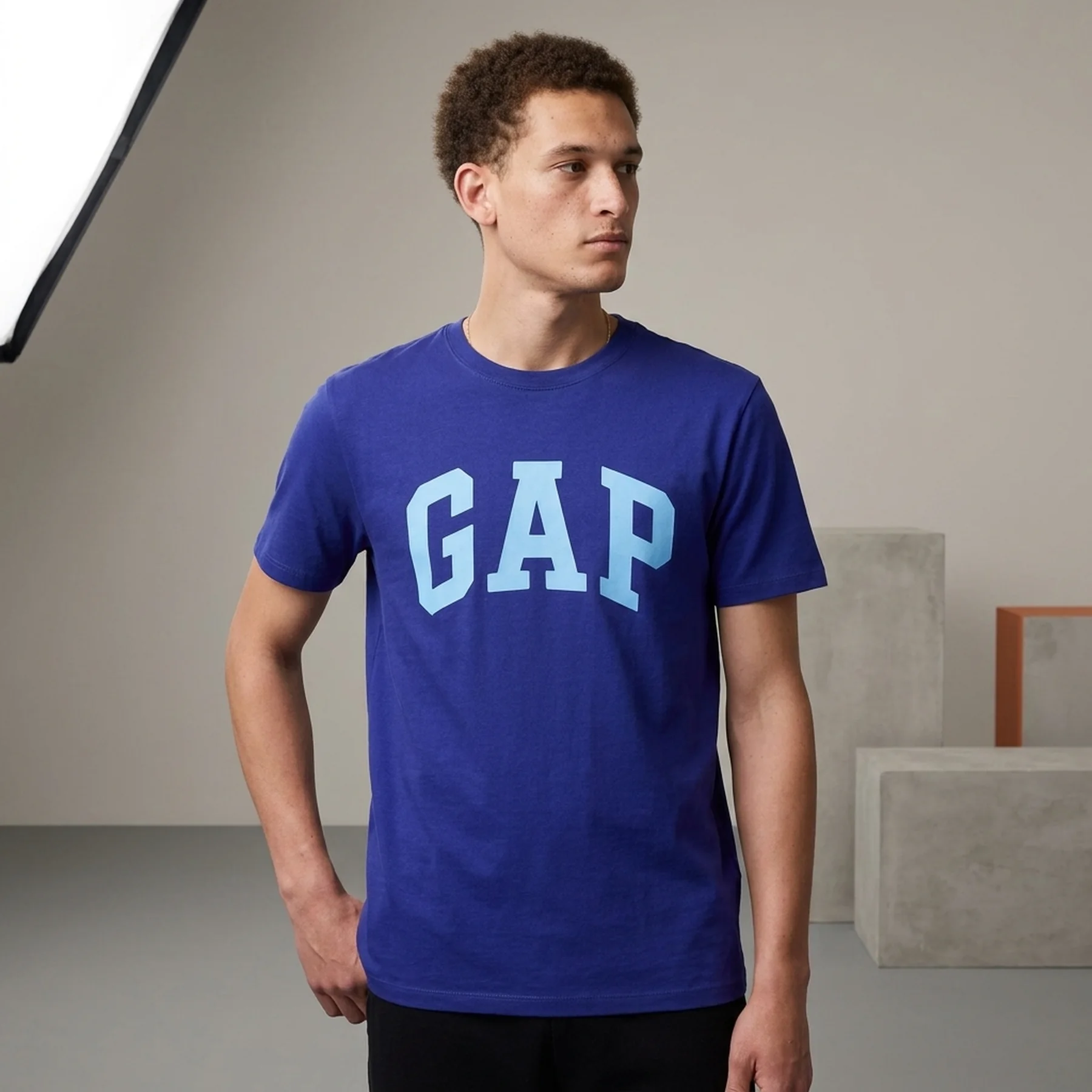 Футболка чоловіча GAP з логотипом 1159850145