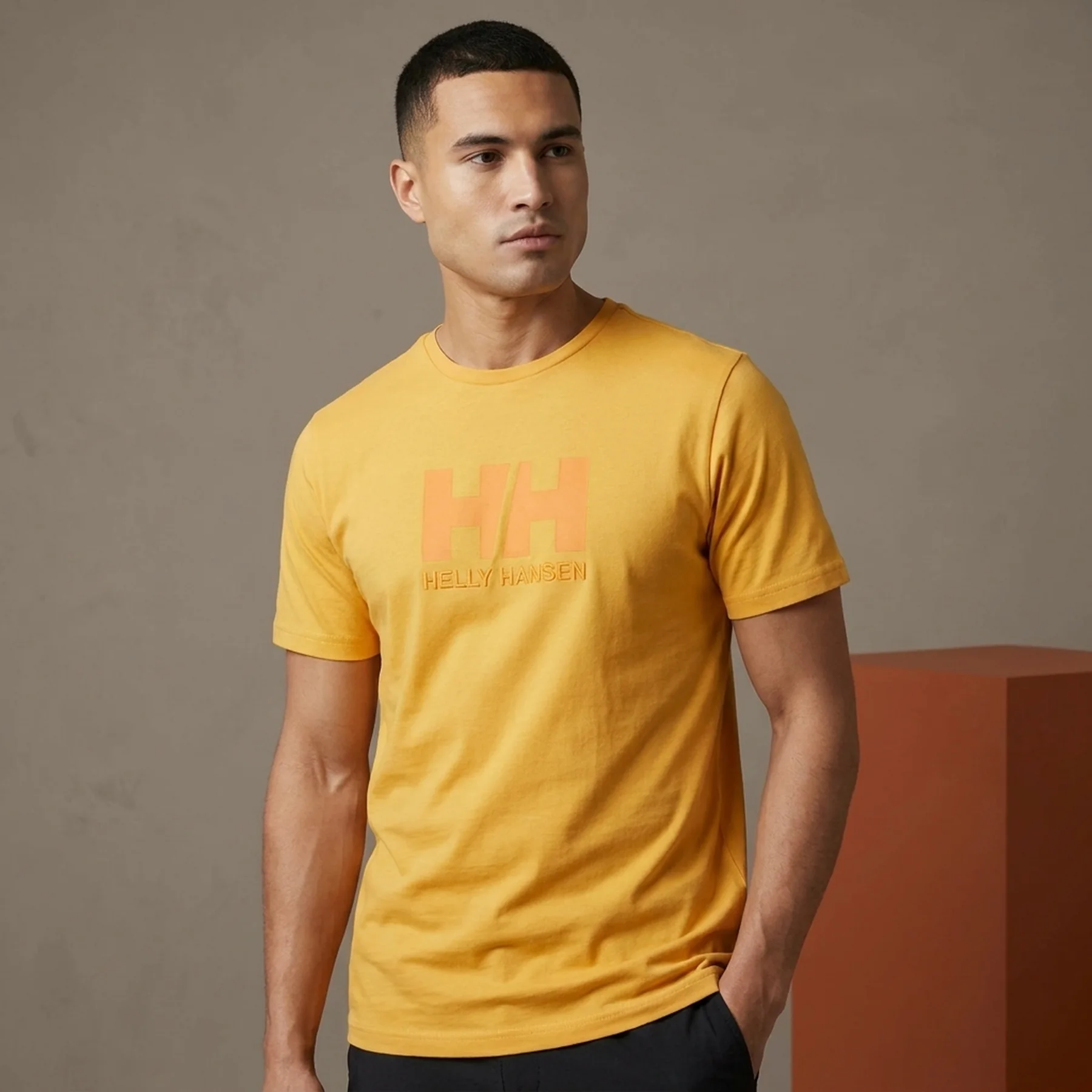 Футболка чоловіча Helly Hansen Logo T-Shirt (33979-364)