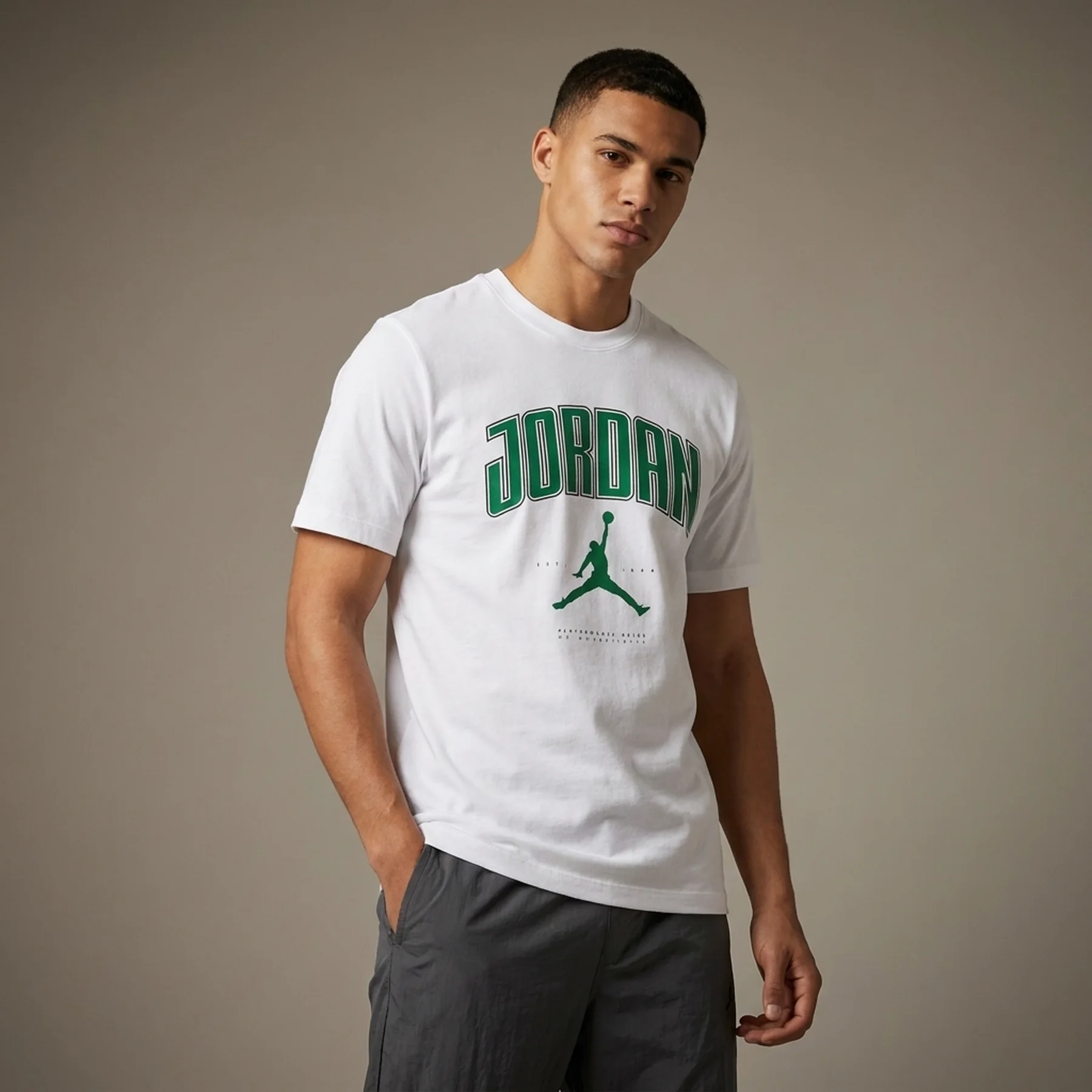 Футболка чоловіча Jordan Air Pine (HQ0009-101)