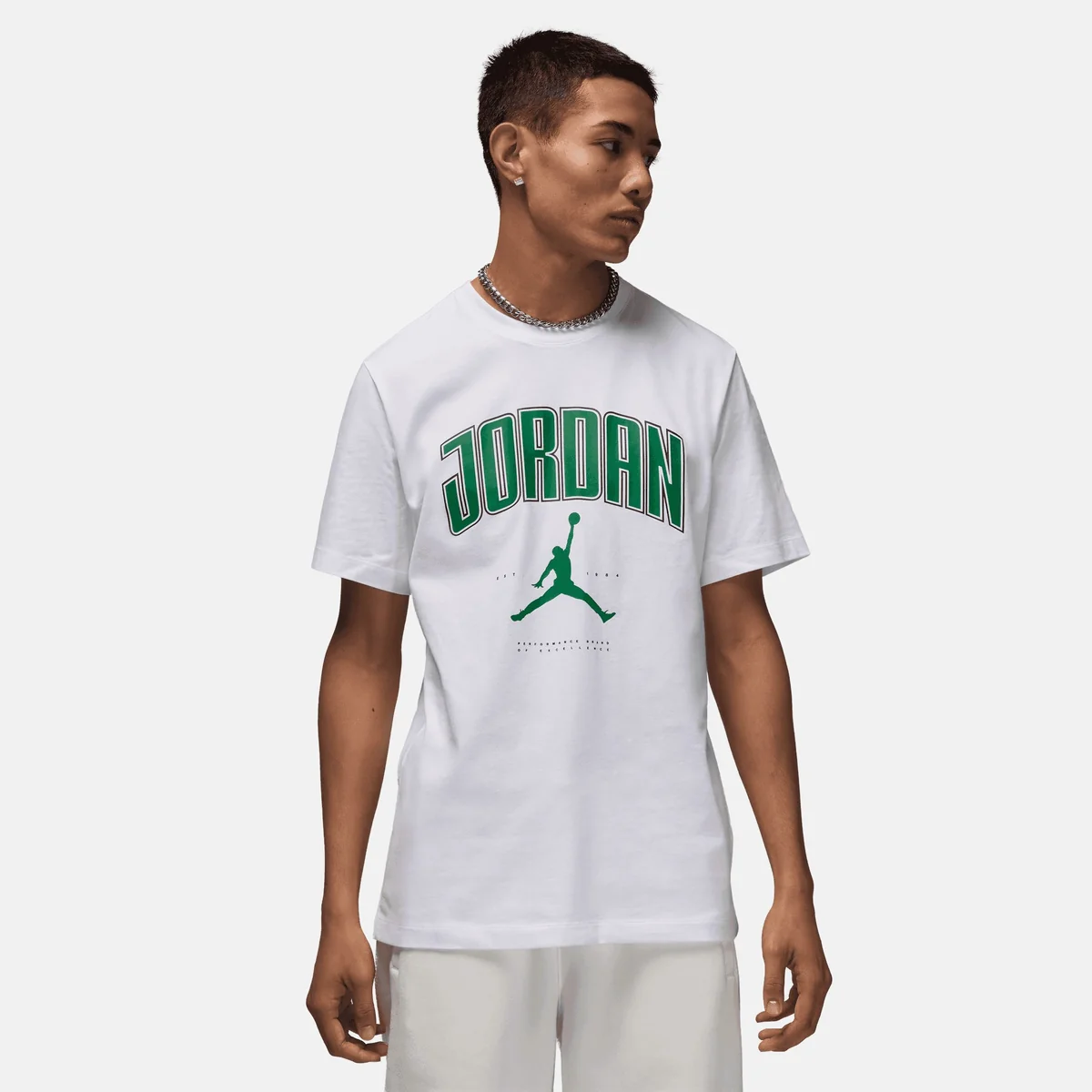 Футболка чоловіча Jordan Air Pine (HQ0009-101)