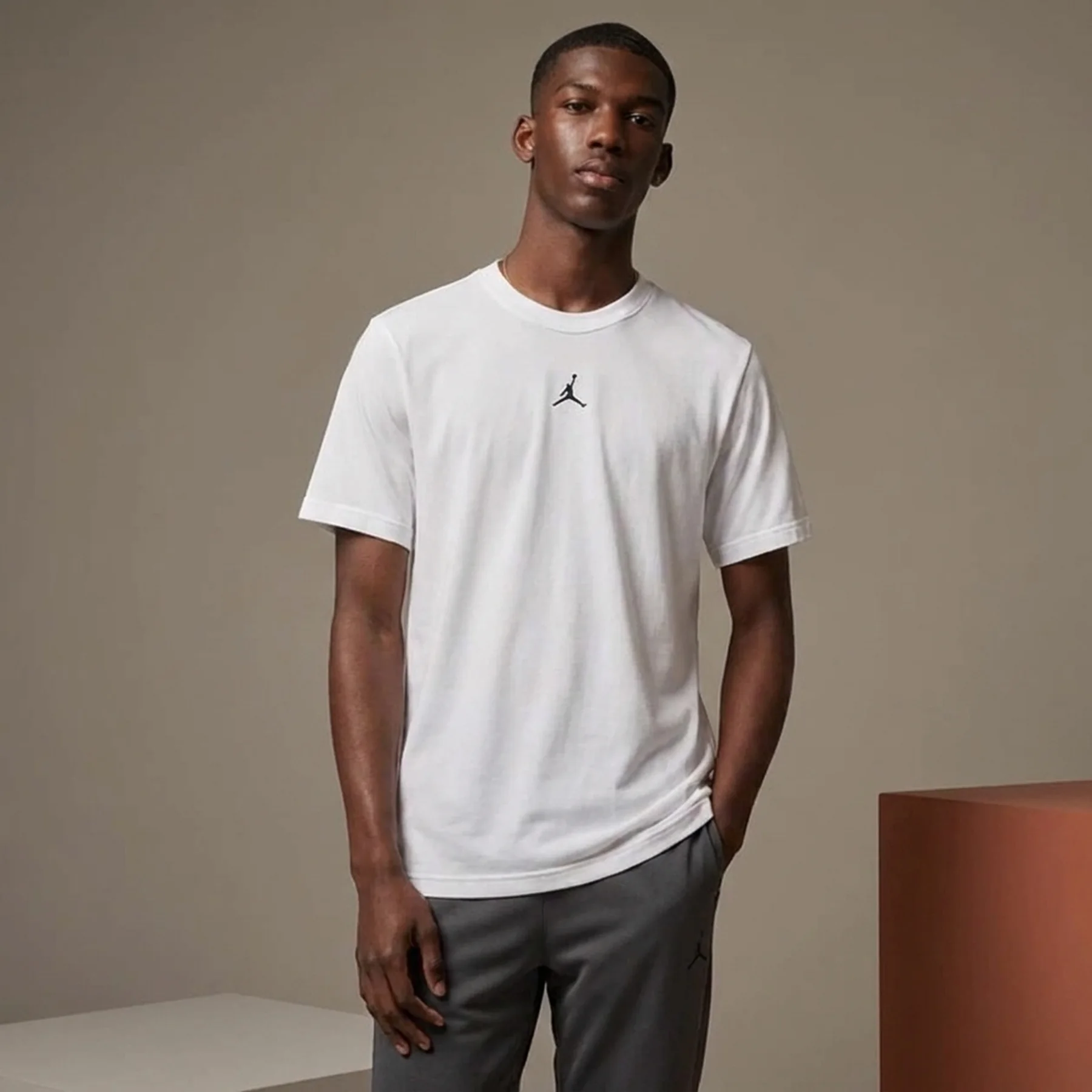 Футболка чоловіча Jordan Dri-Fit Sport Performance (FN5829-100)