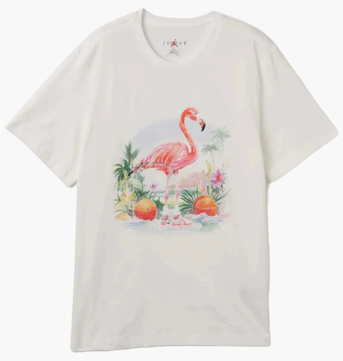 Футболка чоловіча Jordan Ess Flamingo Ss Crew White (HJ2399-100)