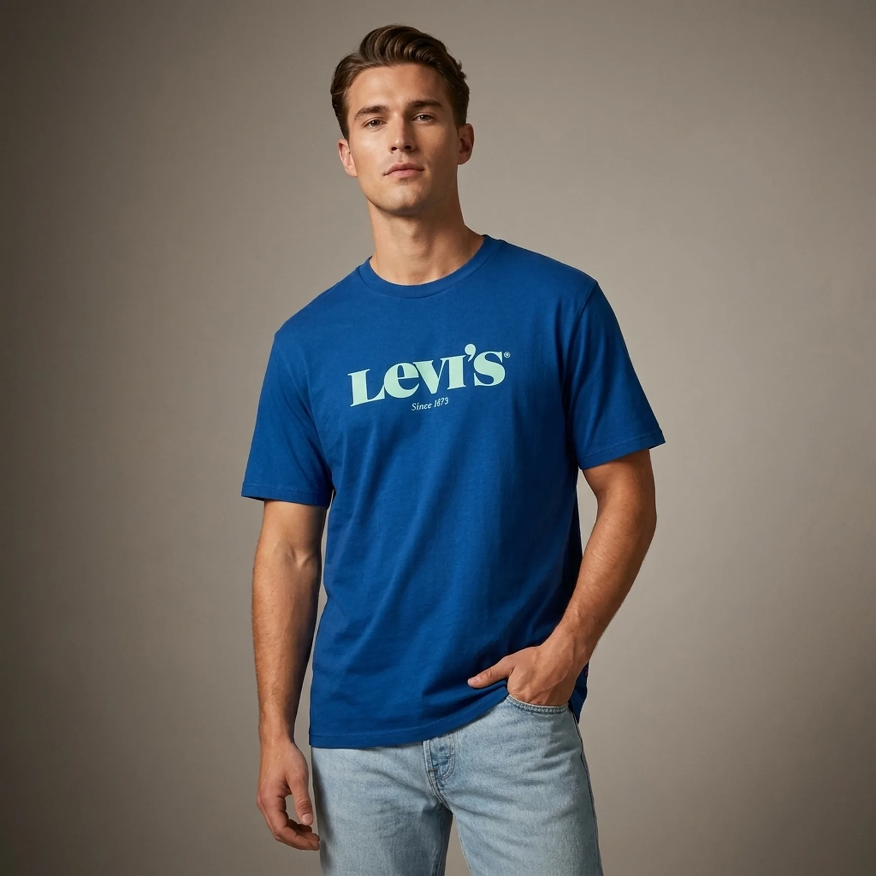 Футболка чоловіча Levis Relaxed Fit (161430127)