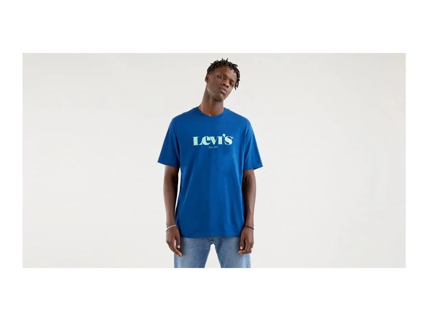 Футболка чоловіча Levis Relaxed Fit (161430127)
