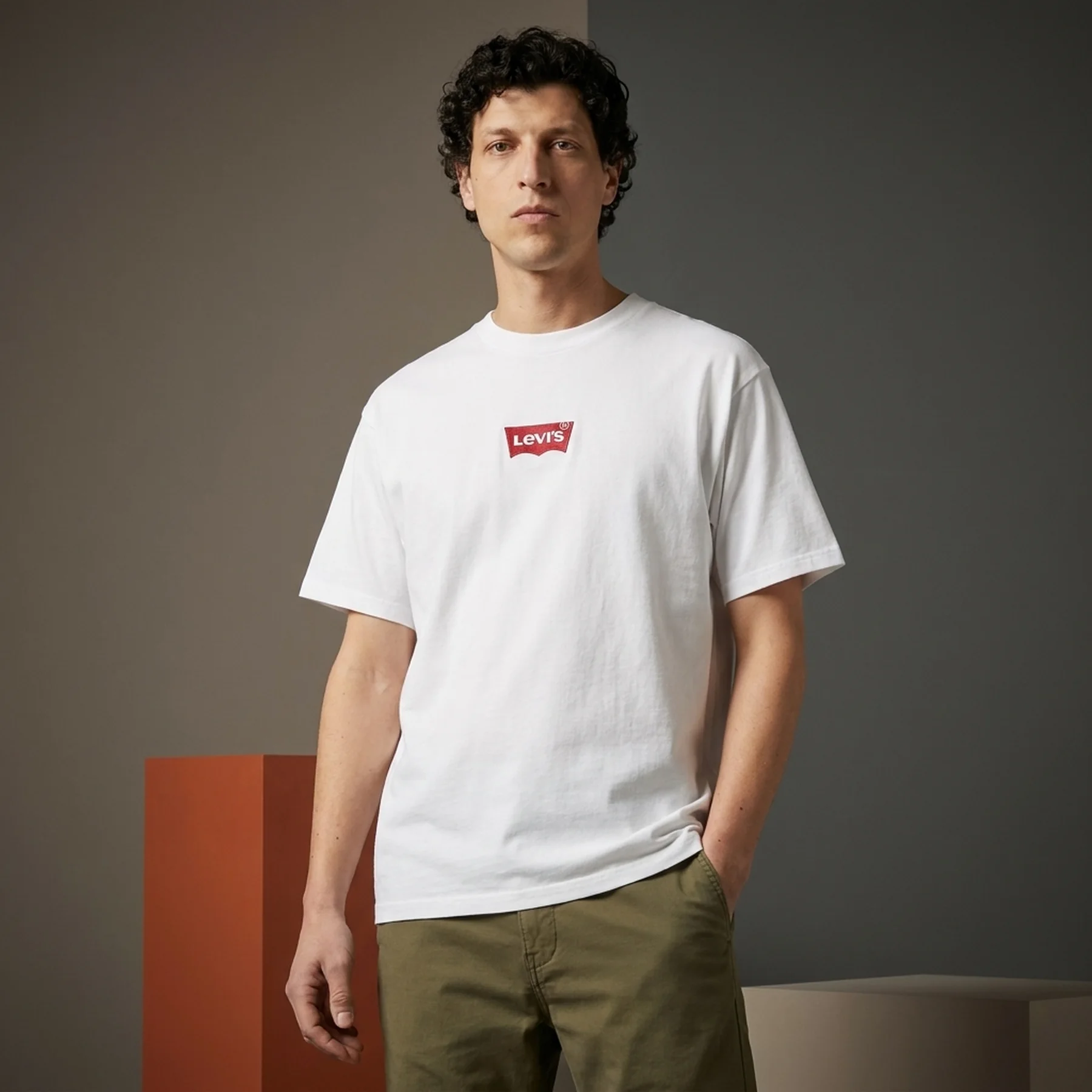 Футболка чоловіча Levis Vintage Fit Graphic (0008C0004)