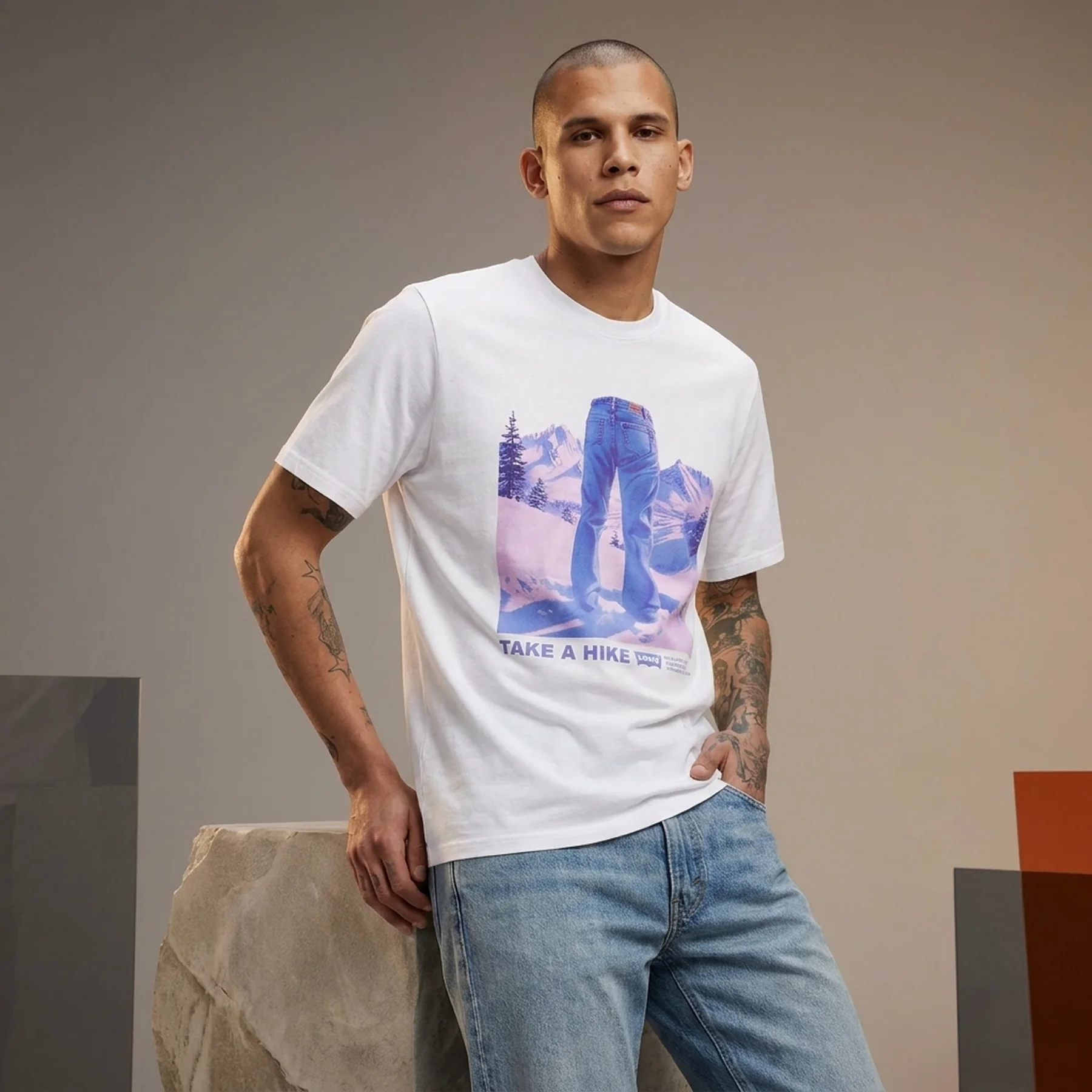 Футболка чоловіча Levi's з принтом 1159830206