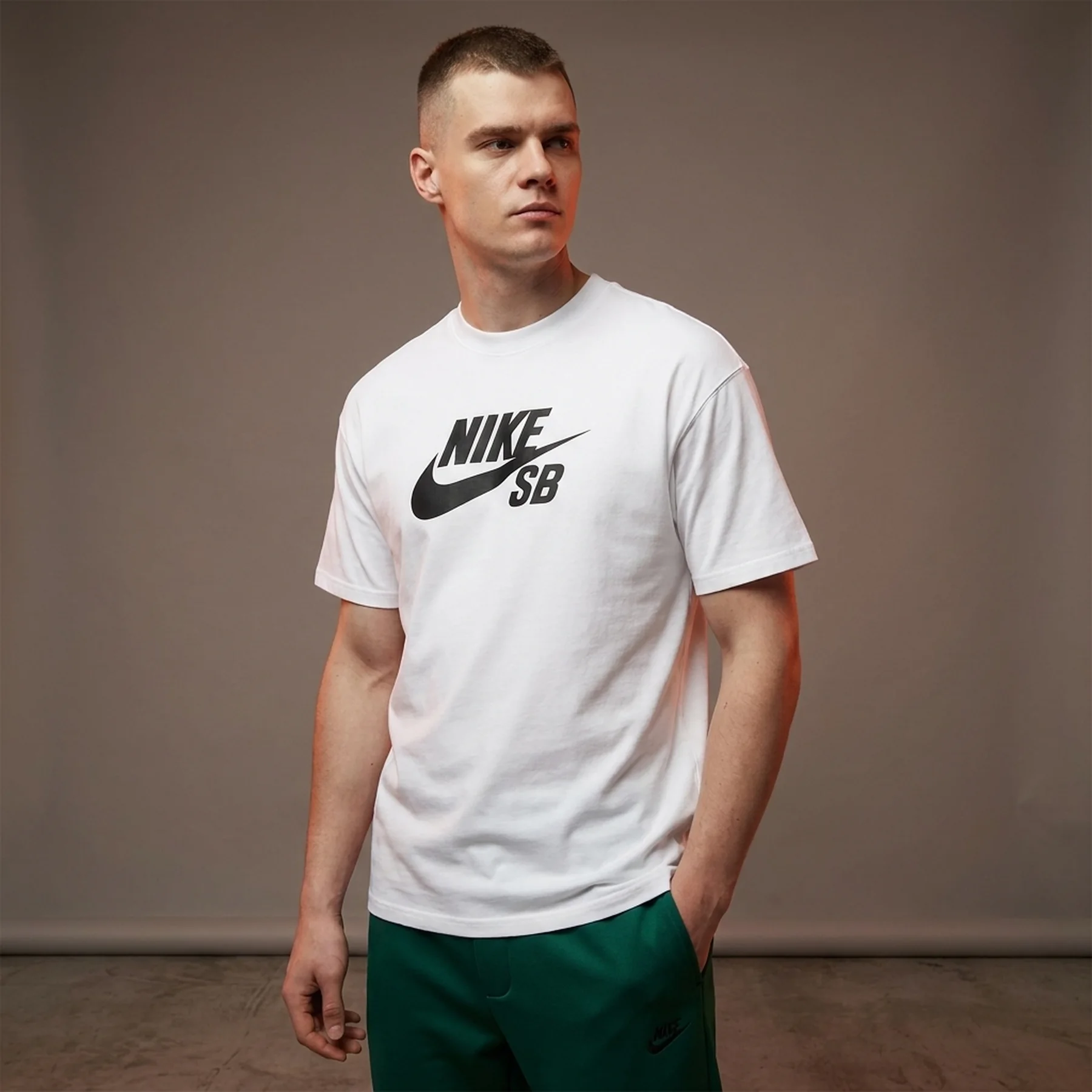 Футболка чоловіча Nike Футболка Sb (CV7539-100)