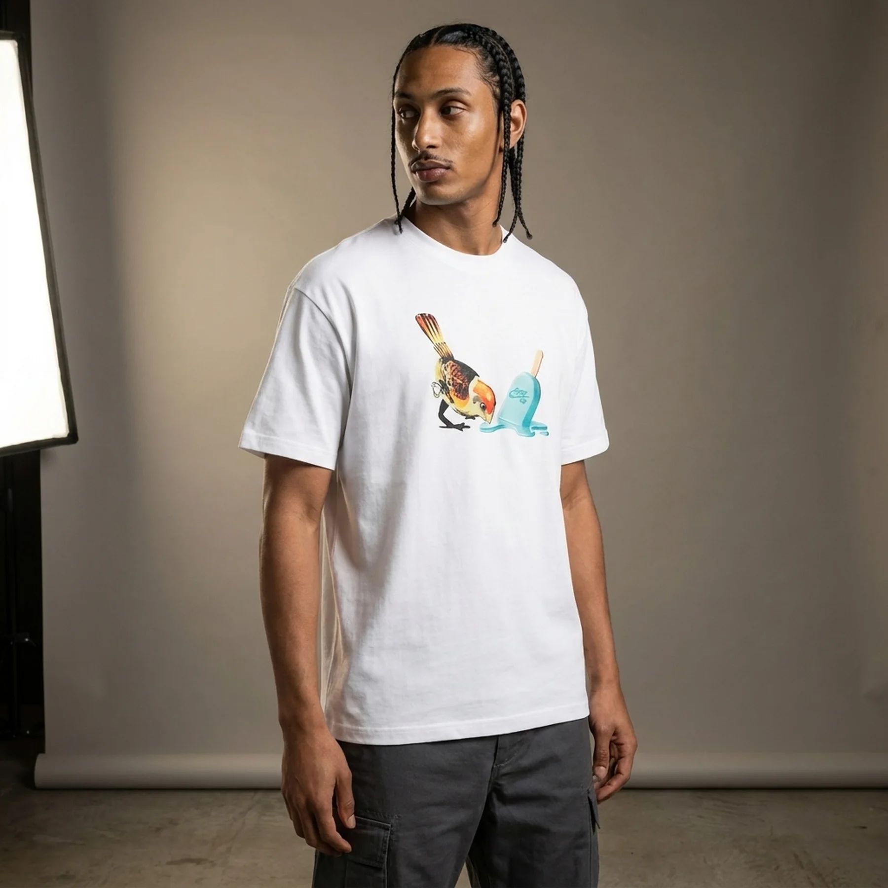Футболка чоловіча Nike Sb Max90 Ice Cream (HJ0818-100)
