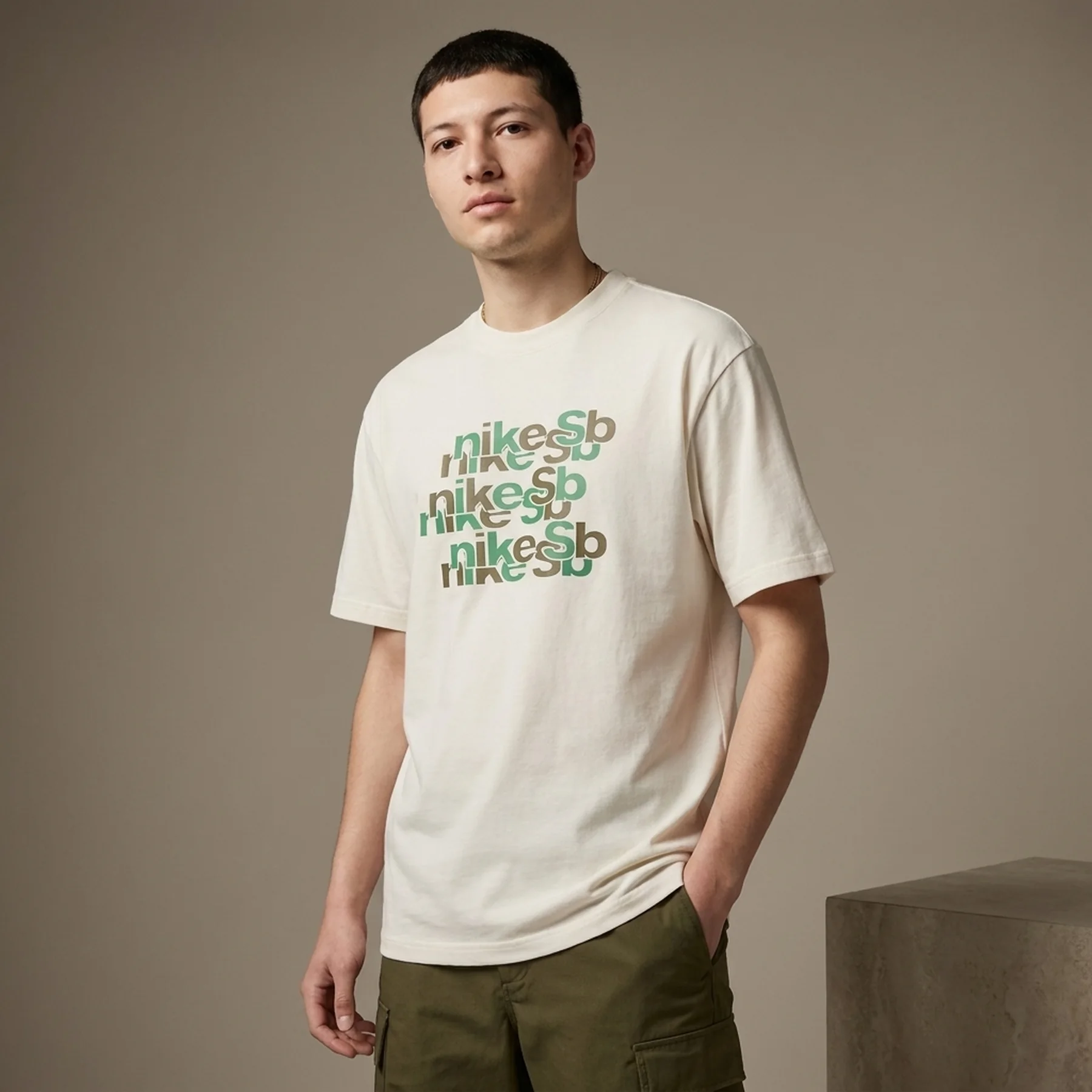 Футболка чоловіча Nike Sb Skate T-Shirt (FV3494-133)