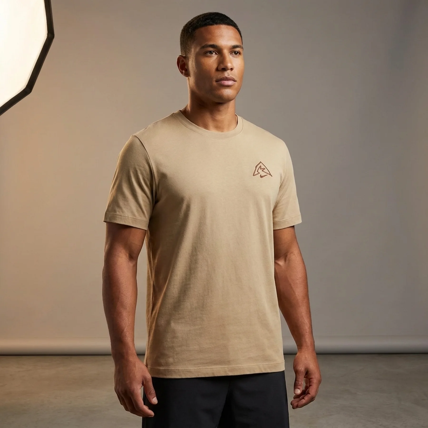 Футболка чоловіча Nike Western Beige (HJ3662-297)