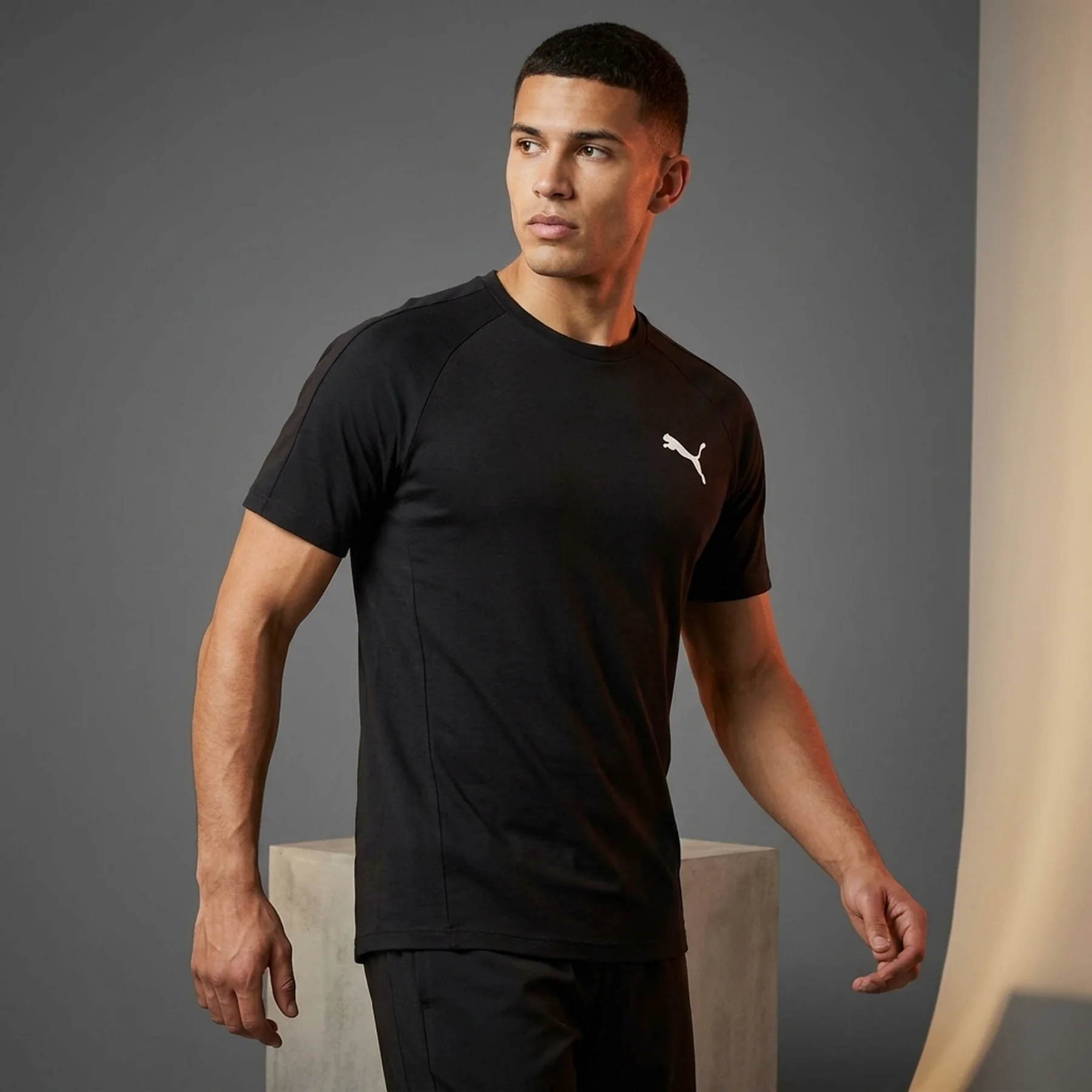 Футболка чоловіча Puma Evostripe Black (581465-01)