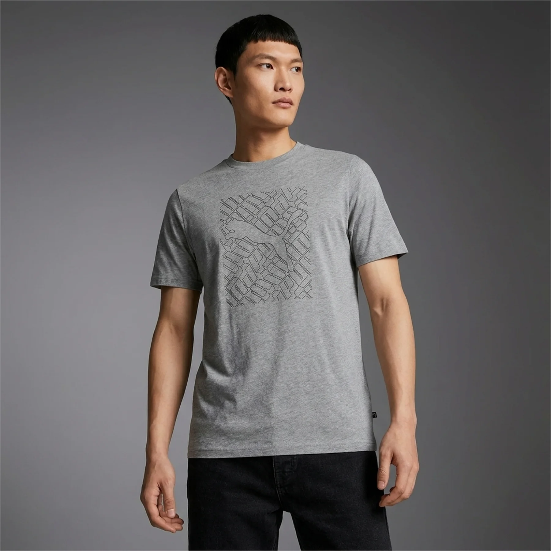 Футболка чоловіча Puma Hc Graphic Grey (674474-03)