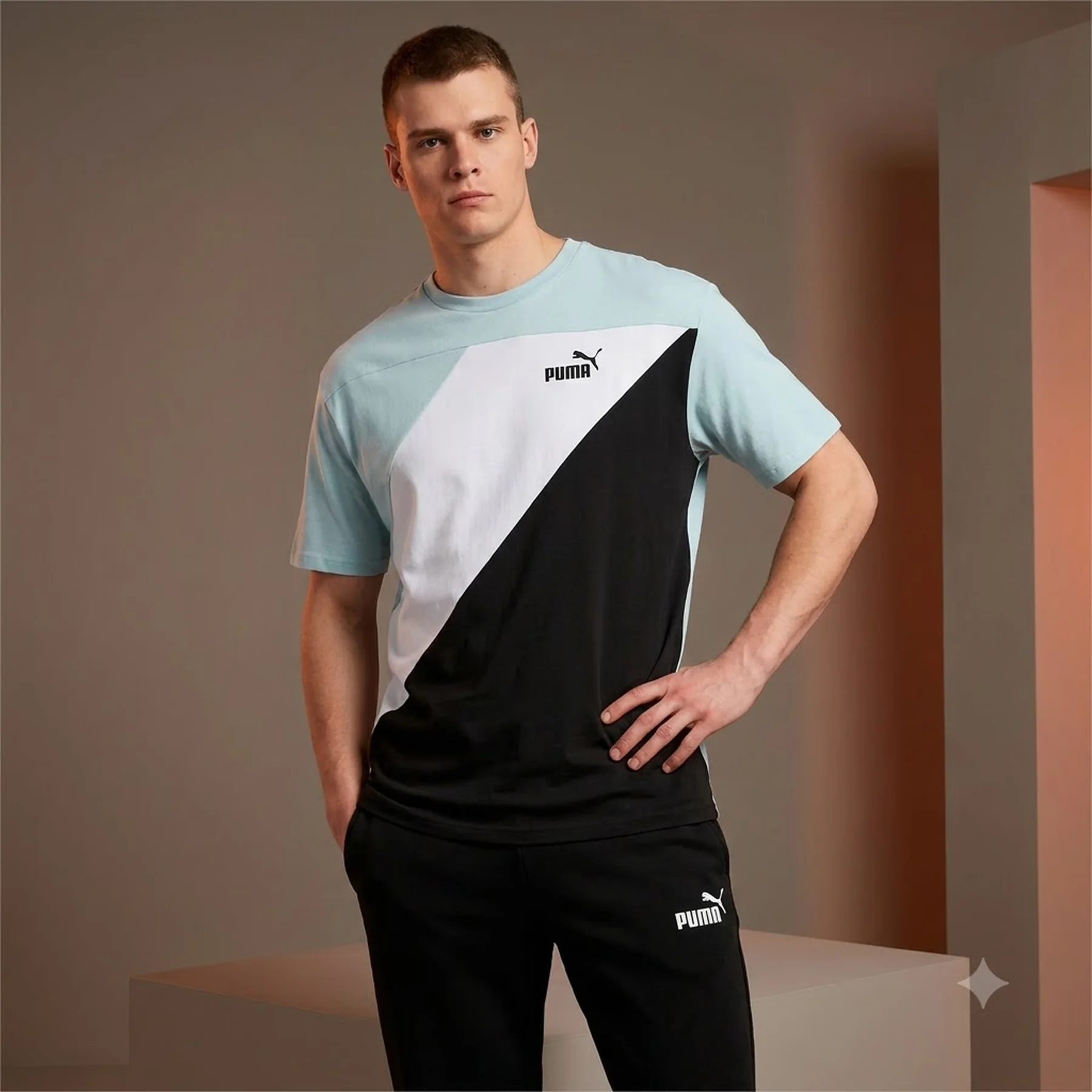 Футболка чоловіча Puma Power Colorblock Tee (67892922)