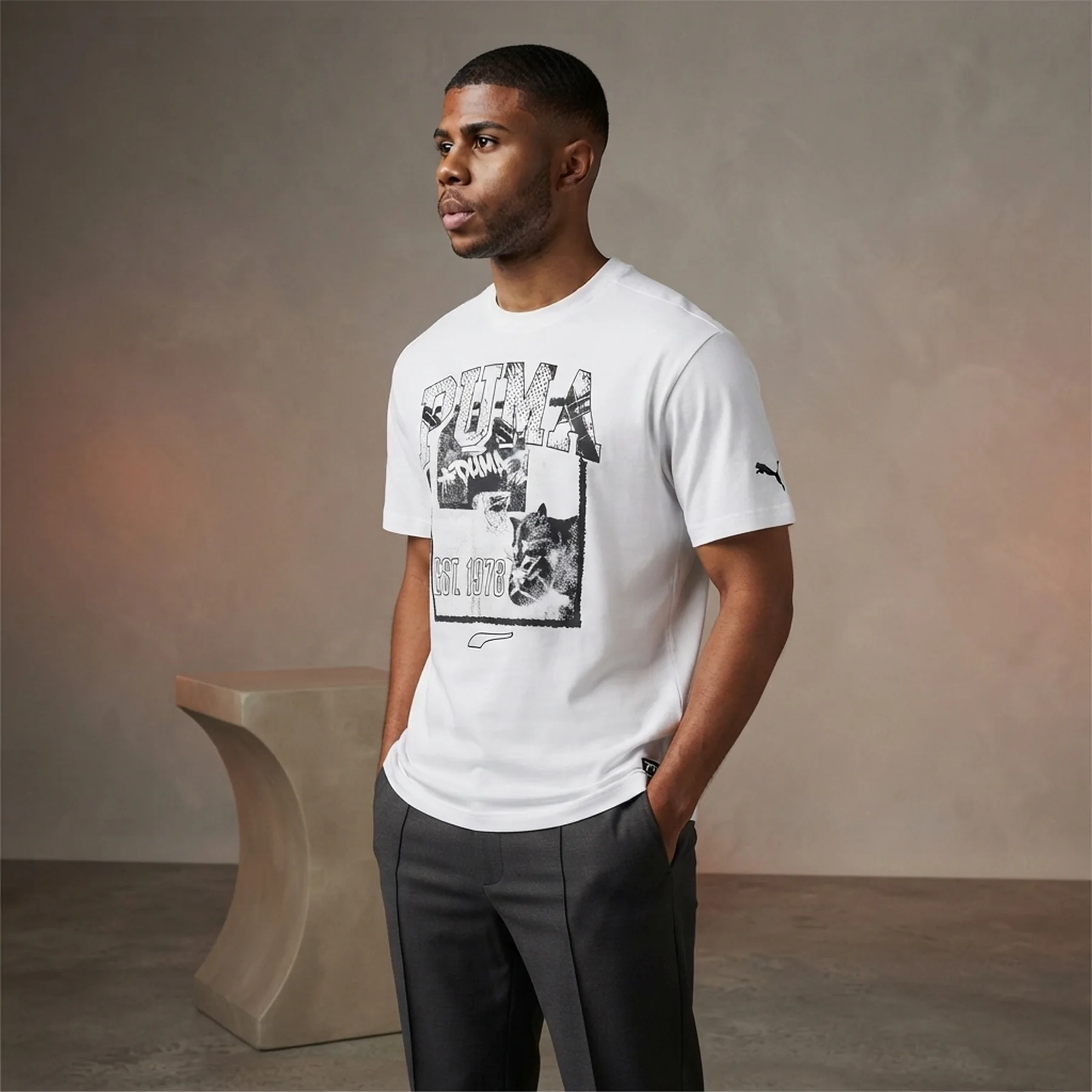 Футболка чоловіча Puma Rival Rage Tee White (685454-02)