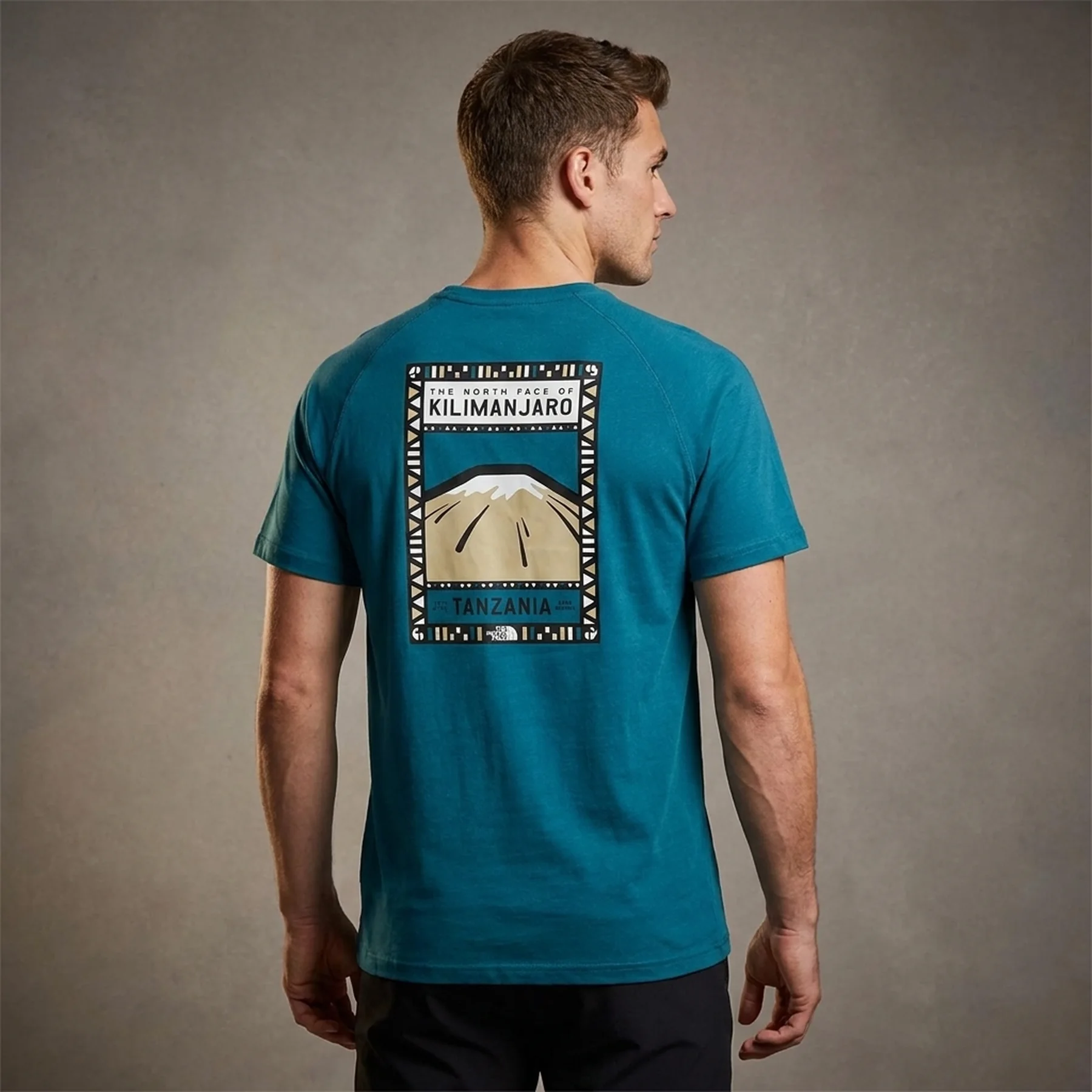 Футболка чоловіча The North Face Men's S/s North Faces Tee