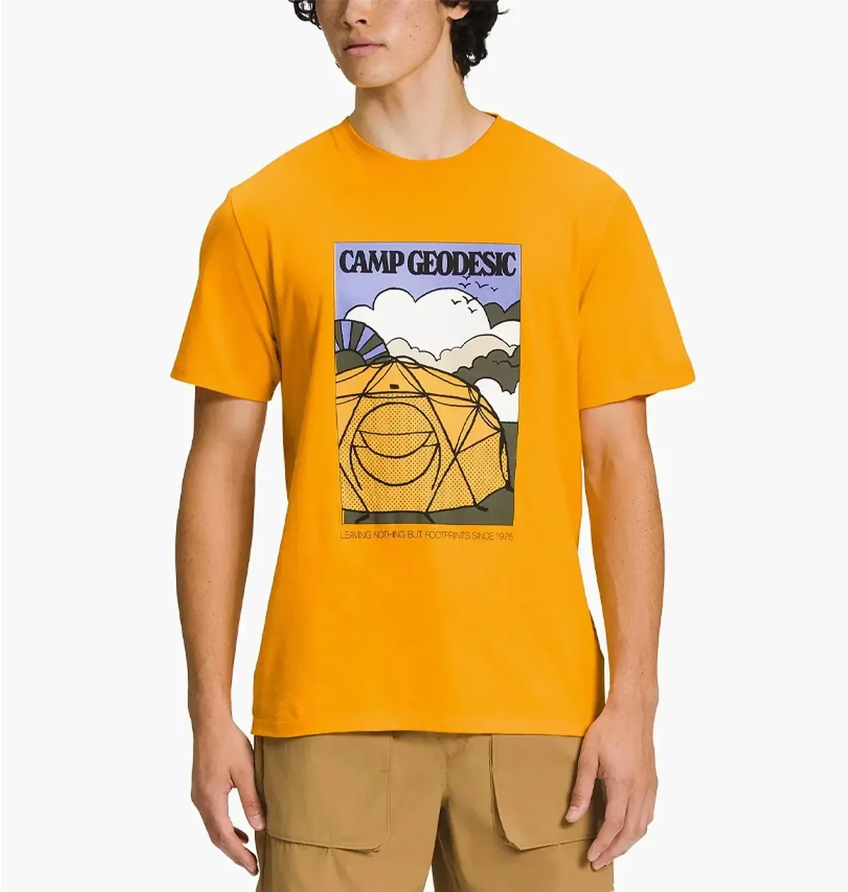 Футболка чоловіча The North Face Sleeve Places We Love Camp Geodesic (NF0A811S56P)