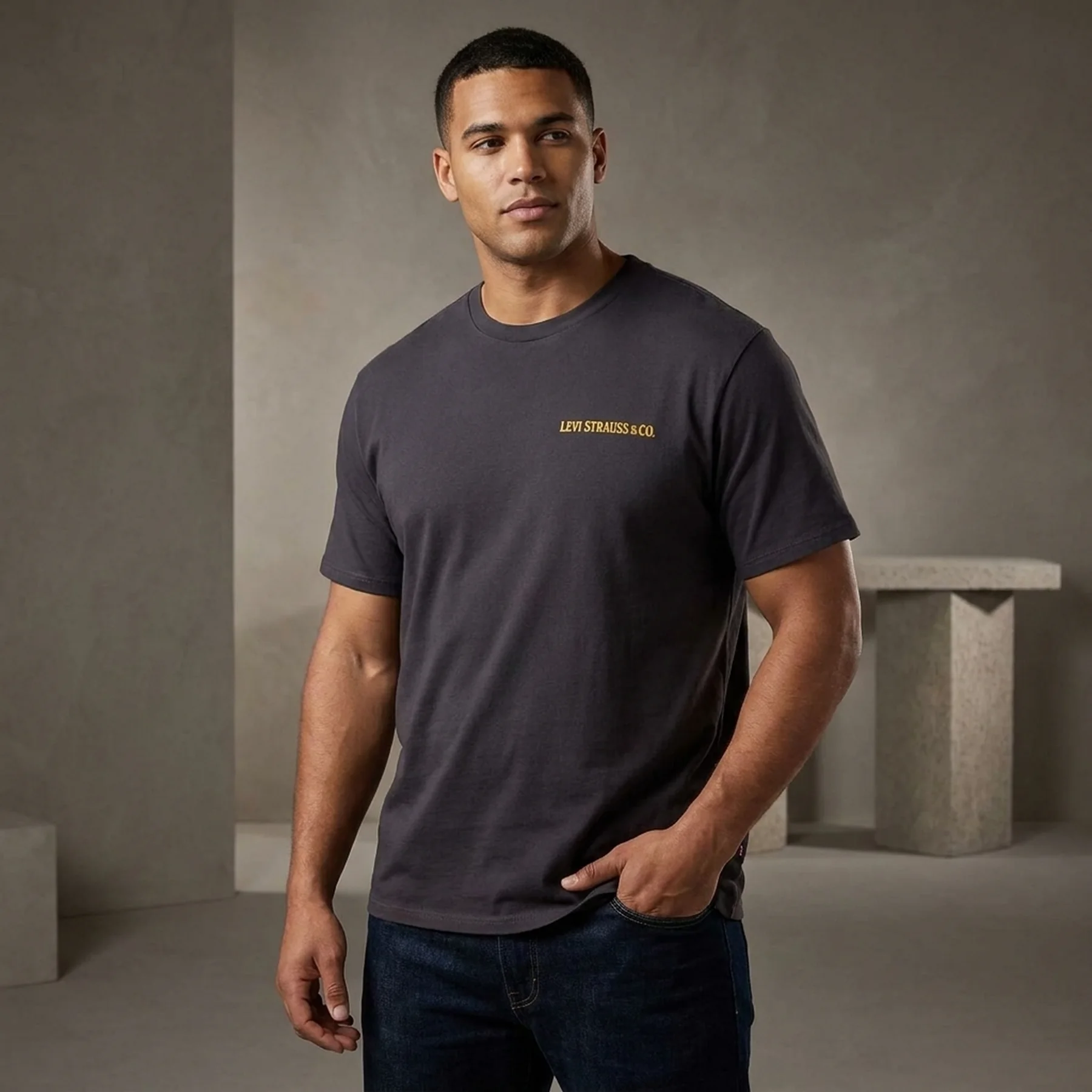Футболка Levis T-shirt