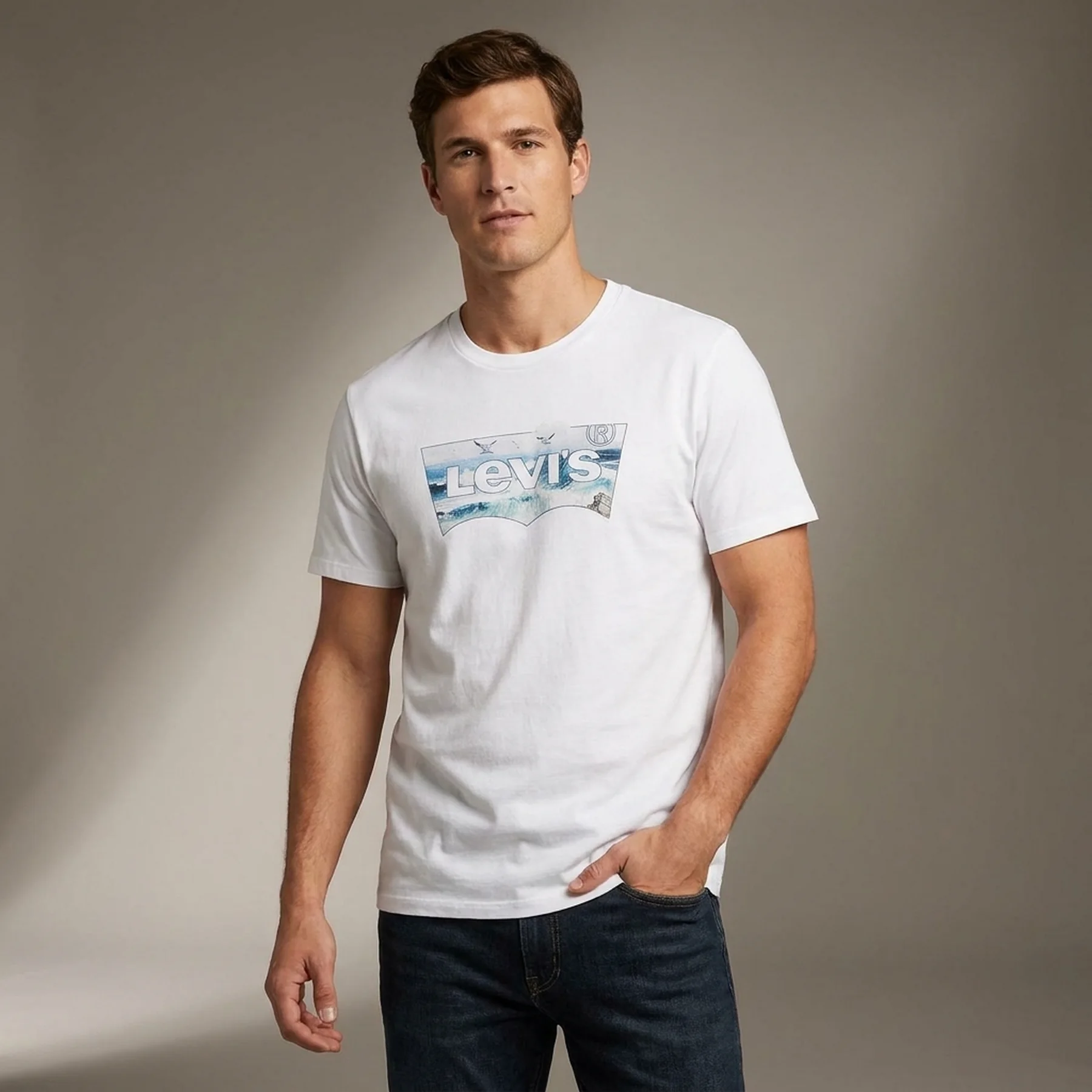Футболка Levis T-shirt