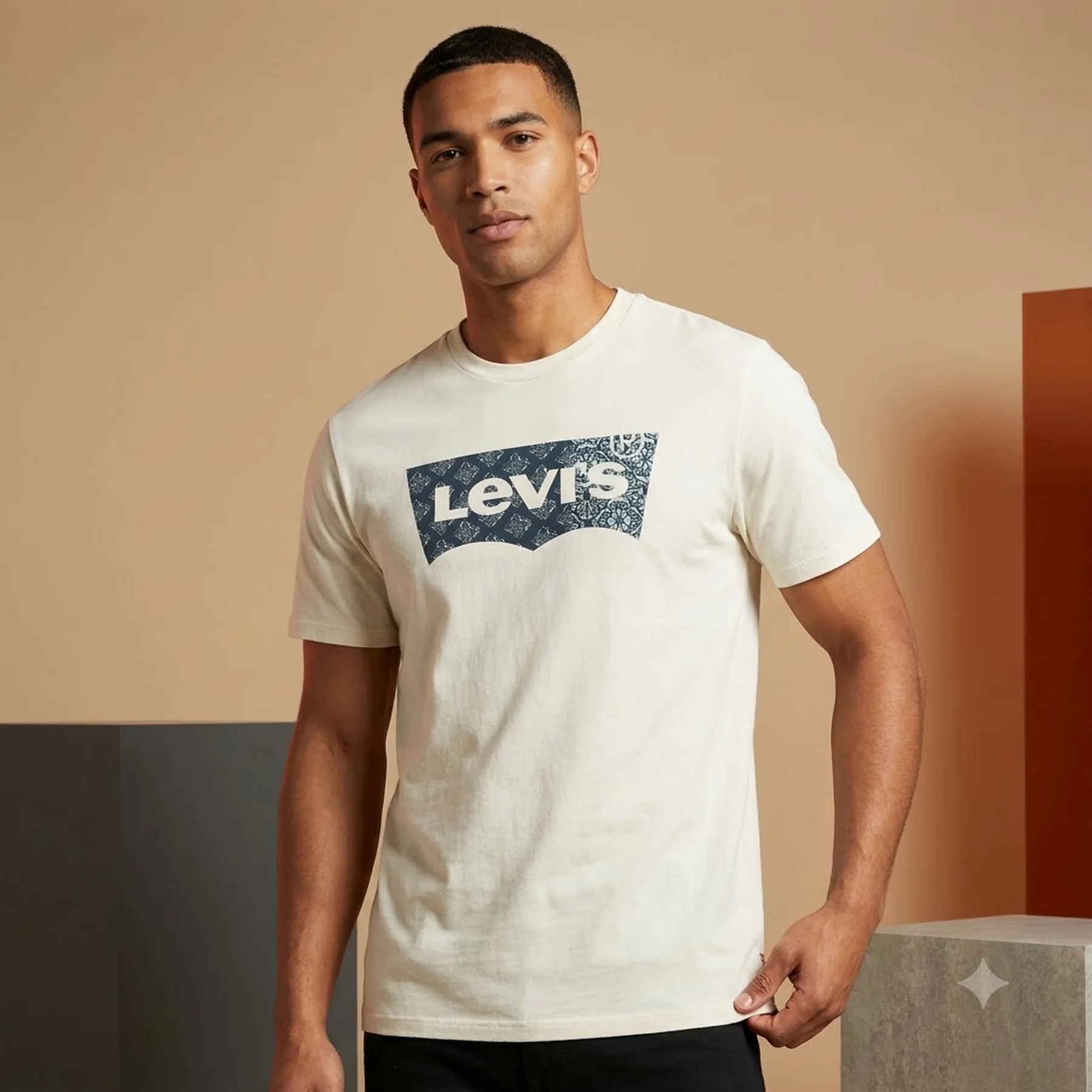 Футболка Levis T-shirt