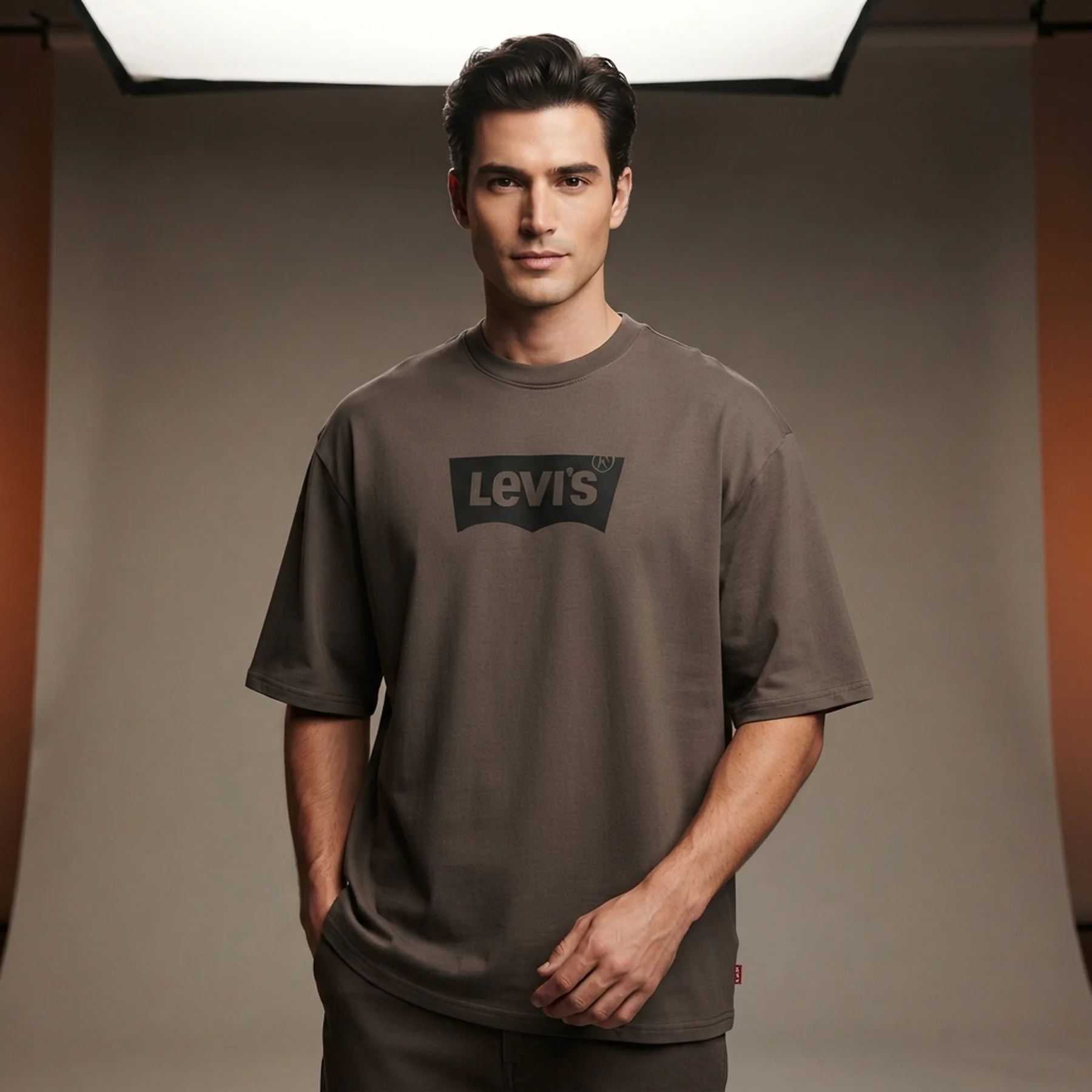 Футболка Levis T-shirt