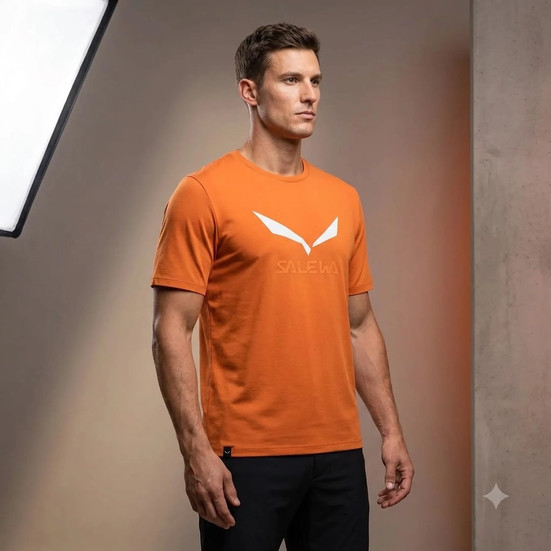 Футболка Salewa Solidlogo Dri-Release