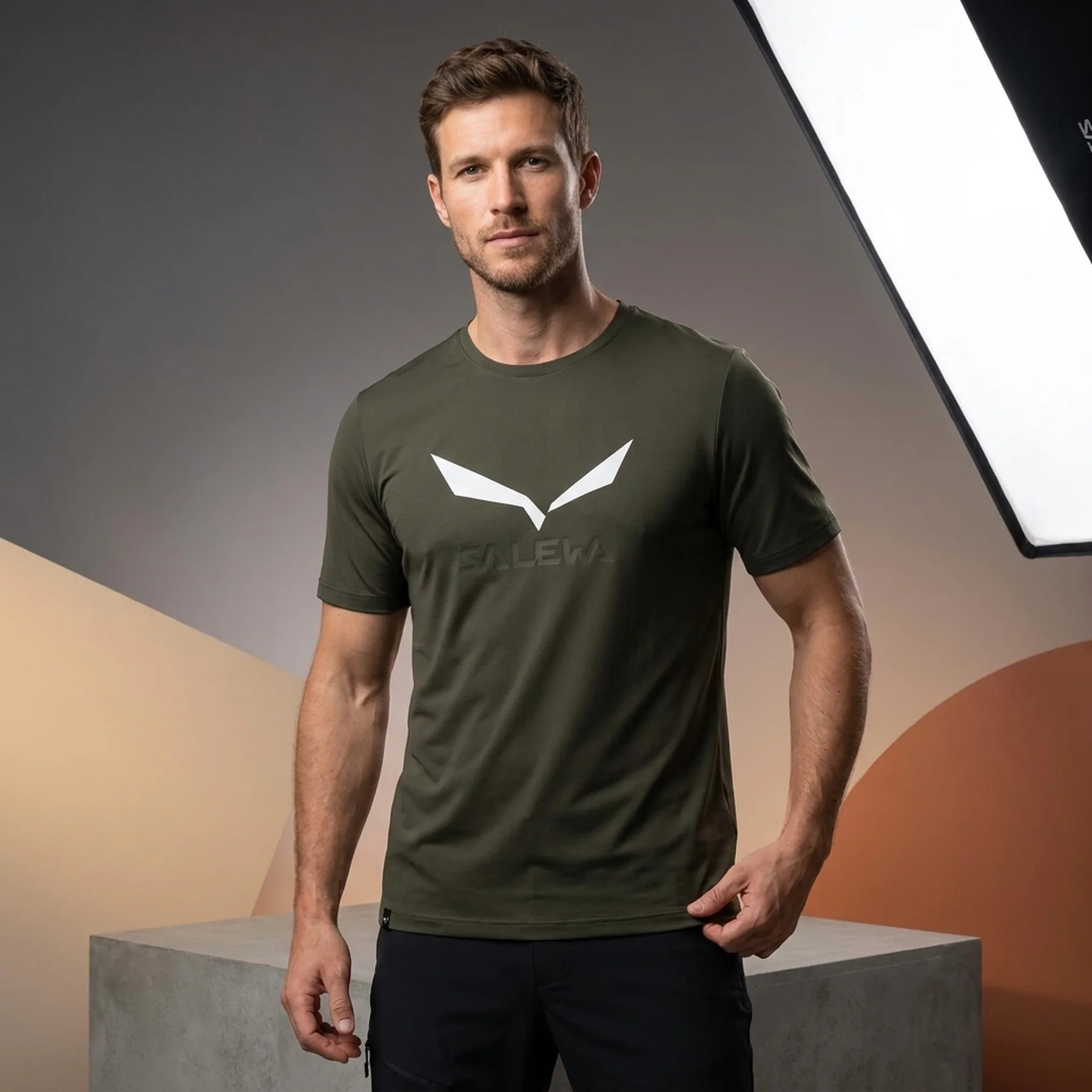 Футболка Salewa Solidlogo Dri-Release