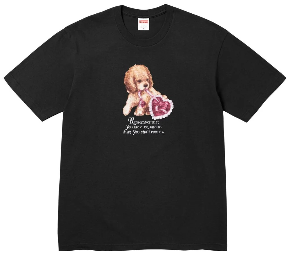 Футболка Supreme Dust Tee 'Black'