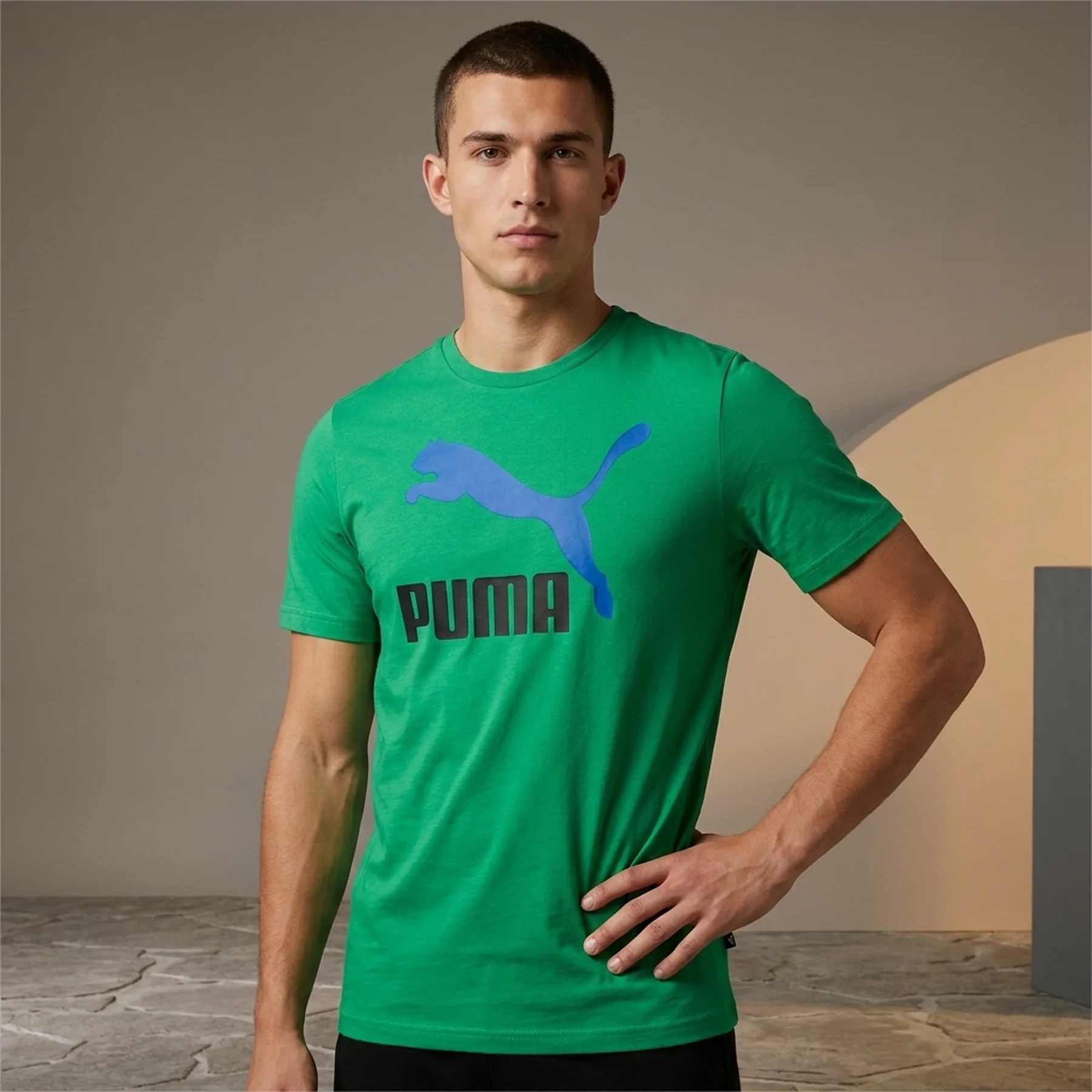 Футболка унісекс Puma Classics Logo Tee (53952636)