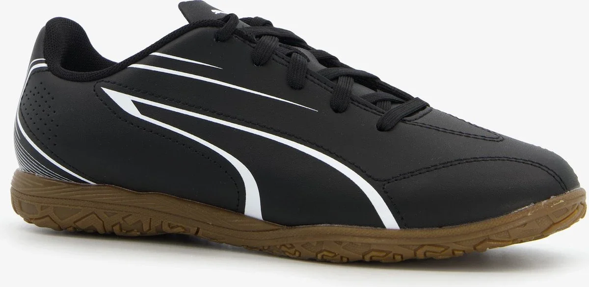 Футзалки чоловічі Puma Vitoria It (107485-01)