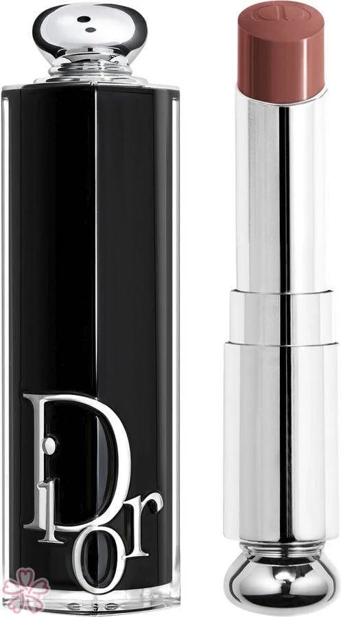 Гелевая сердцевина - Зеркальный блеск Dior Addict Lipstick 3.2 г 616 Nude Mitzah