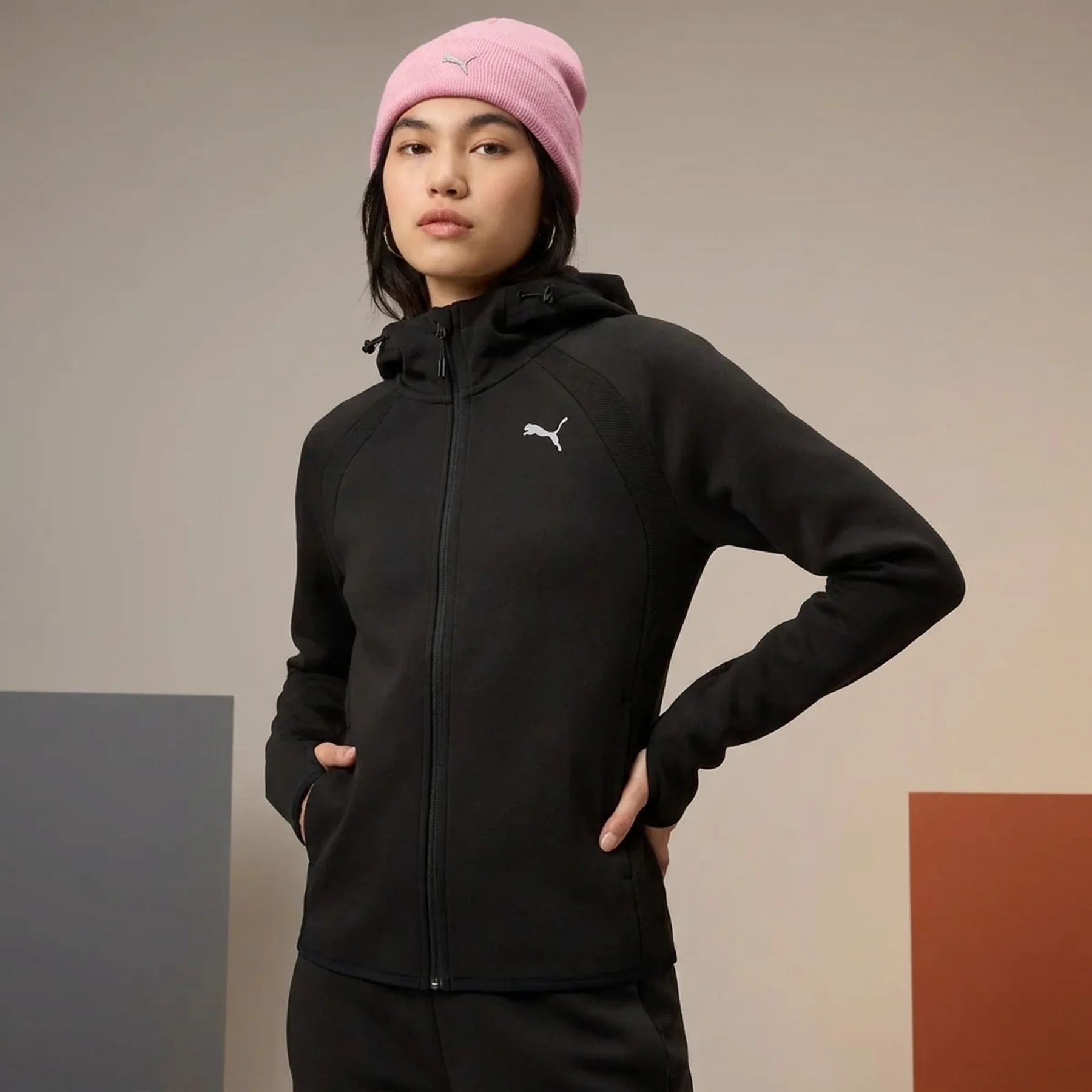 Худі EVOSTRIPE Full-Zip Hoodie 68814101 Puma L Чорний