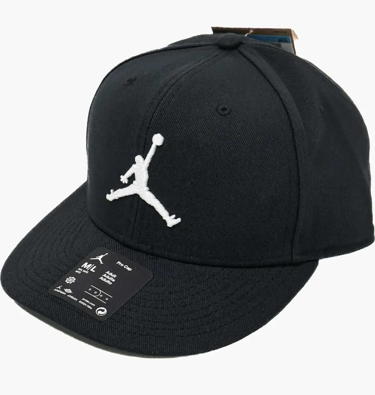 Кепка Jordan Pro Fb Jumpman (FV5296-010)