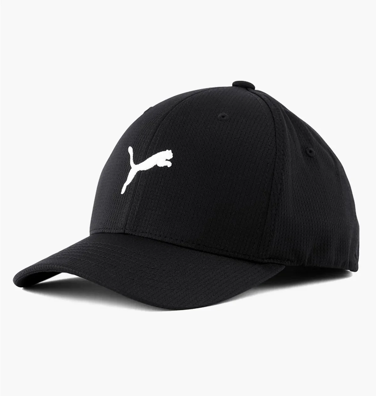Кепка Puma Hudson Flexfit (859757-01)