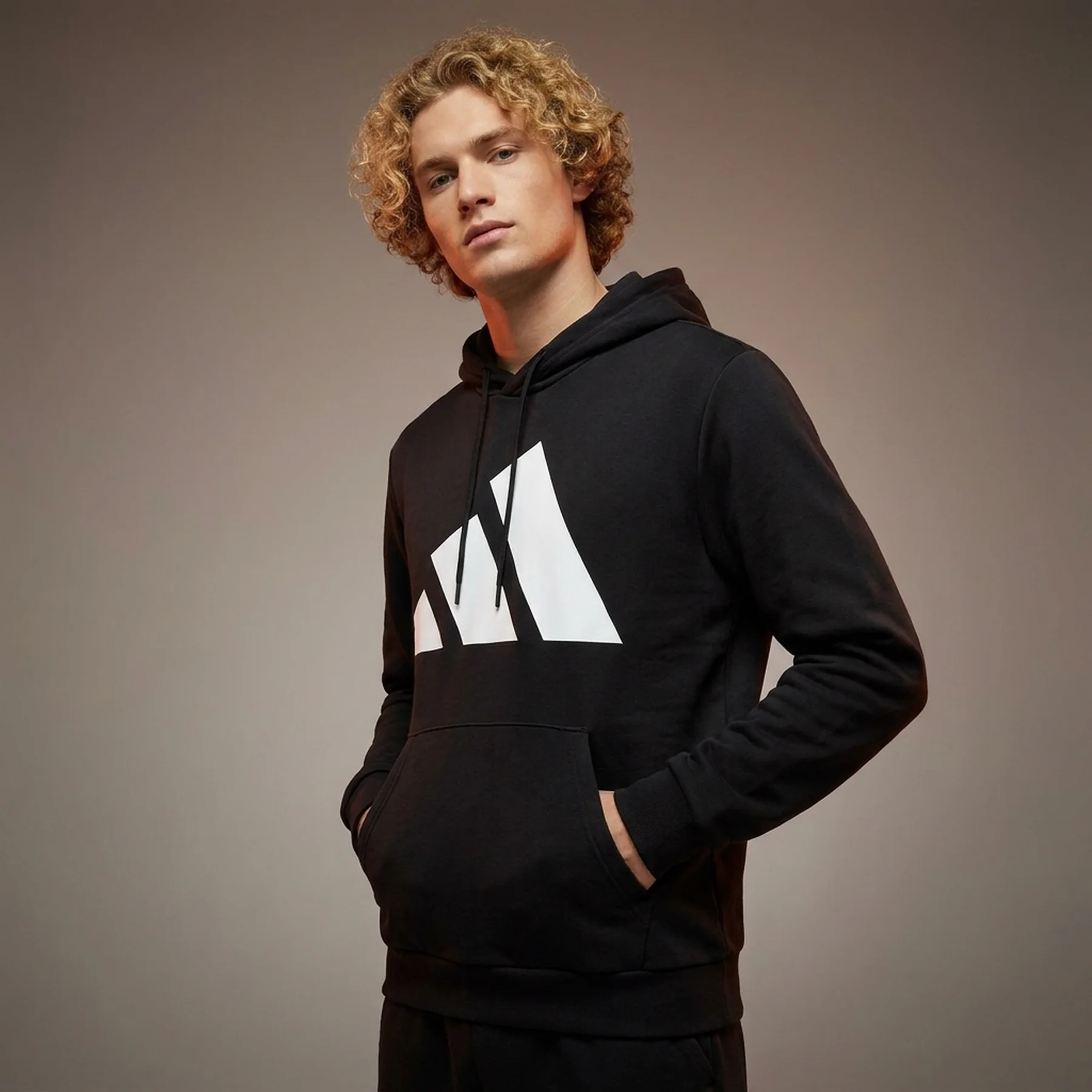 Кофта чоловіча Adidas Bl Ft Hd (IN6164)